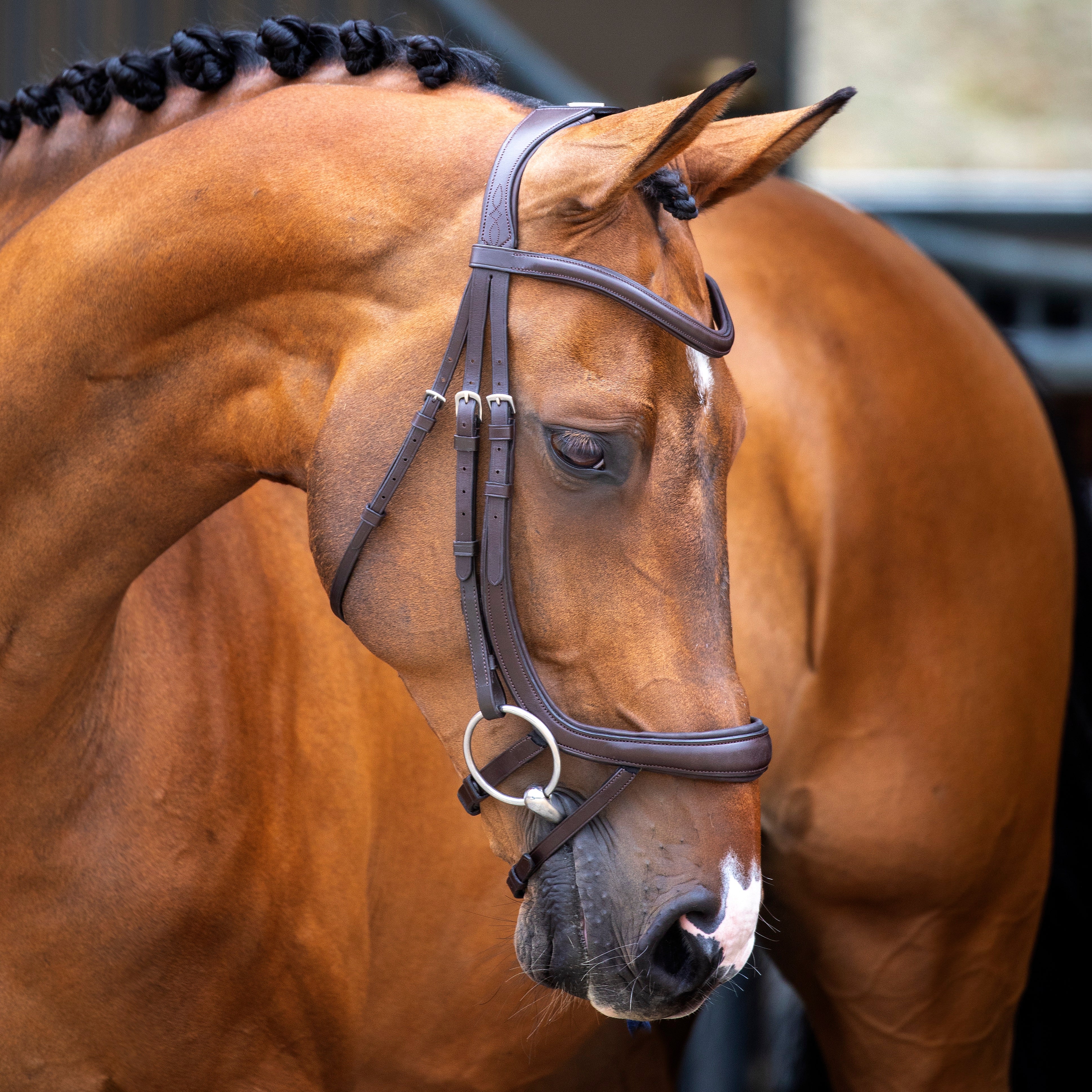 Velociti Lusso Ergonomic Curved Flash Bridle - Image 2