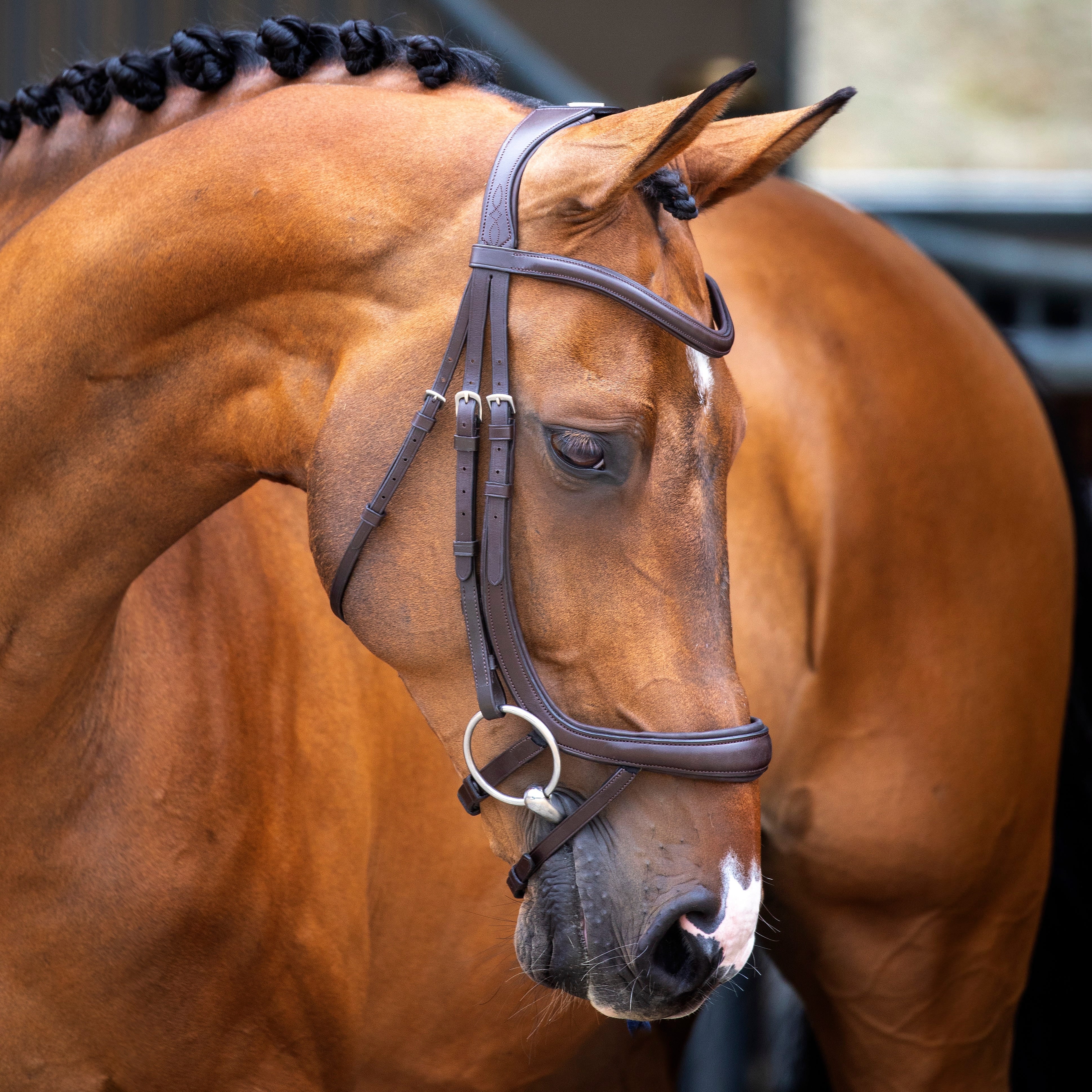 Velociti Lusso Ergonomic Curved Flash Bridle - Image 4