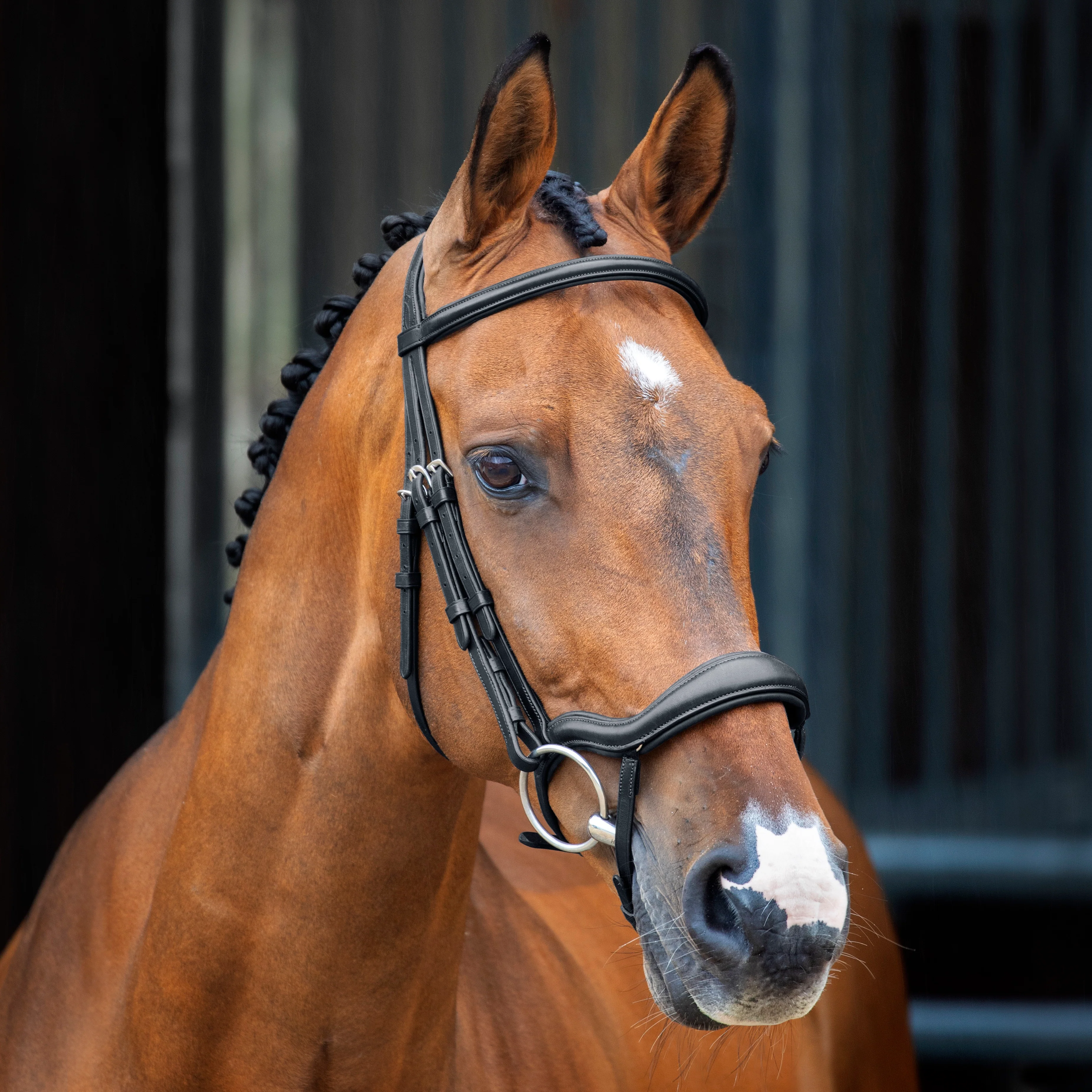 Velociti Lusso Ergonomic Flash Bridle - Image 2