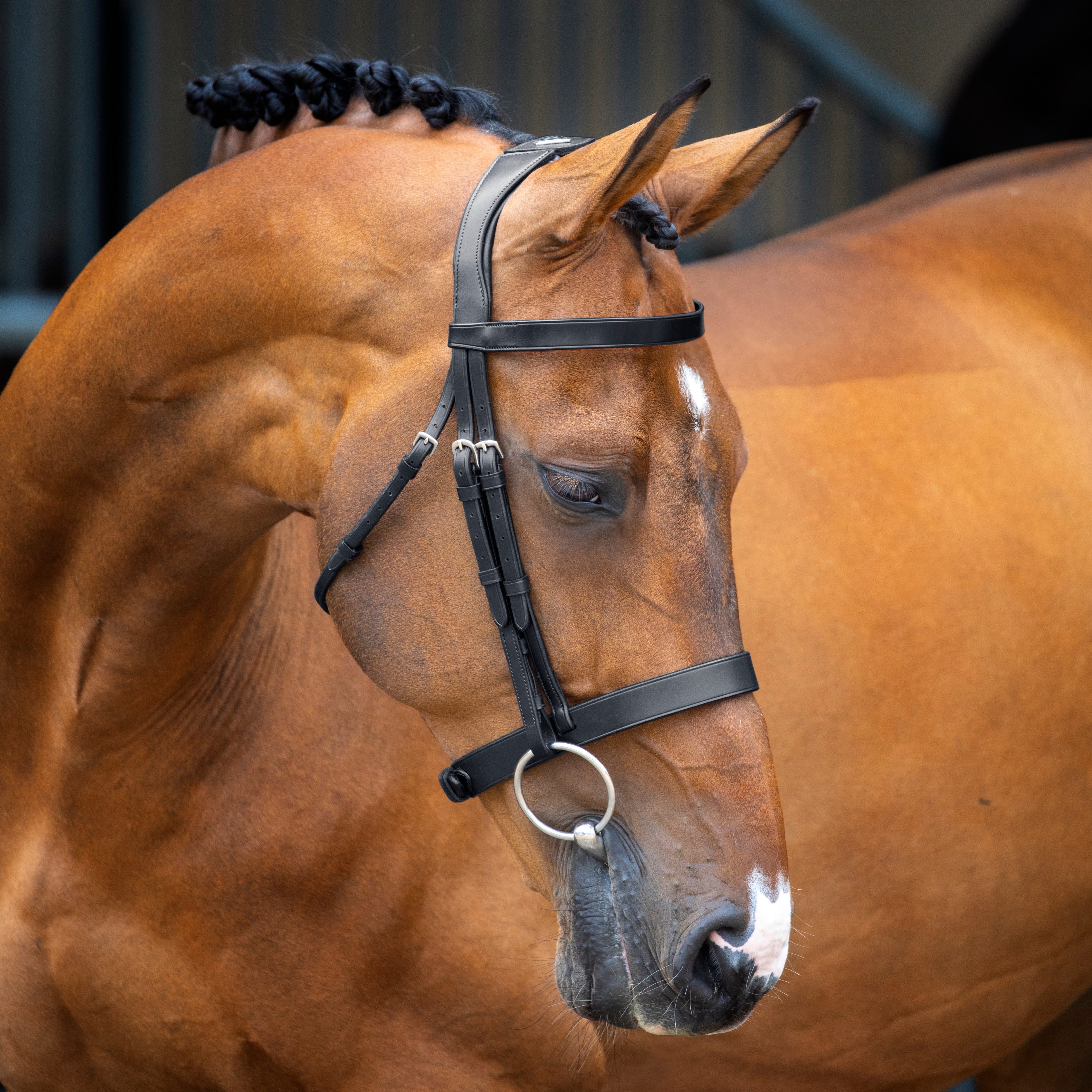 Velociti Lusso Hunter Cavesson Bridle - Image 2