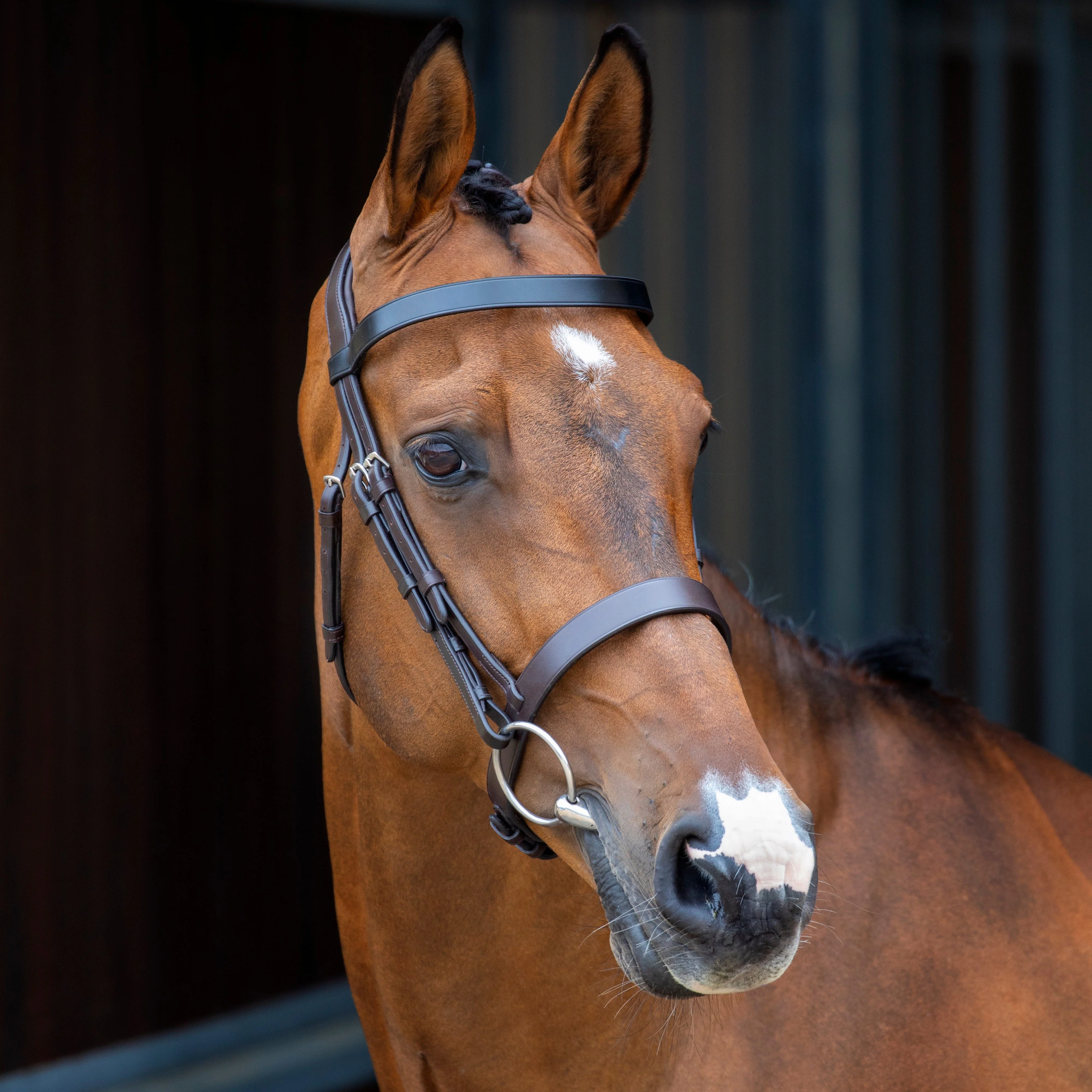Velociti Lusso Hunter Cavesson Bridle - Image 3