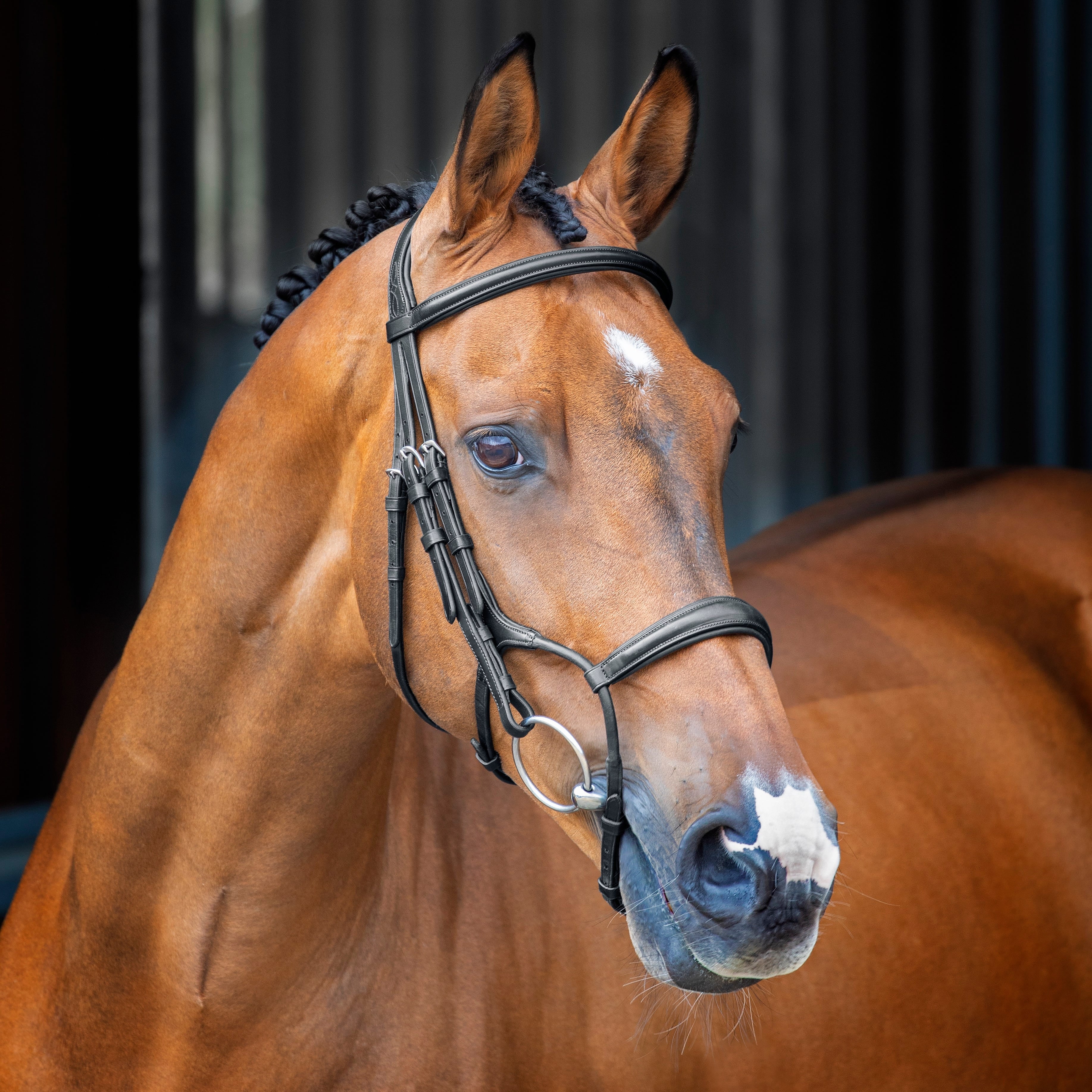Velociti Lusso Rolled Padded Cavesson Bridle - Image 3