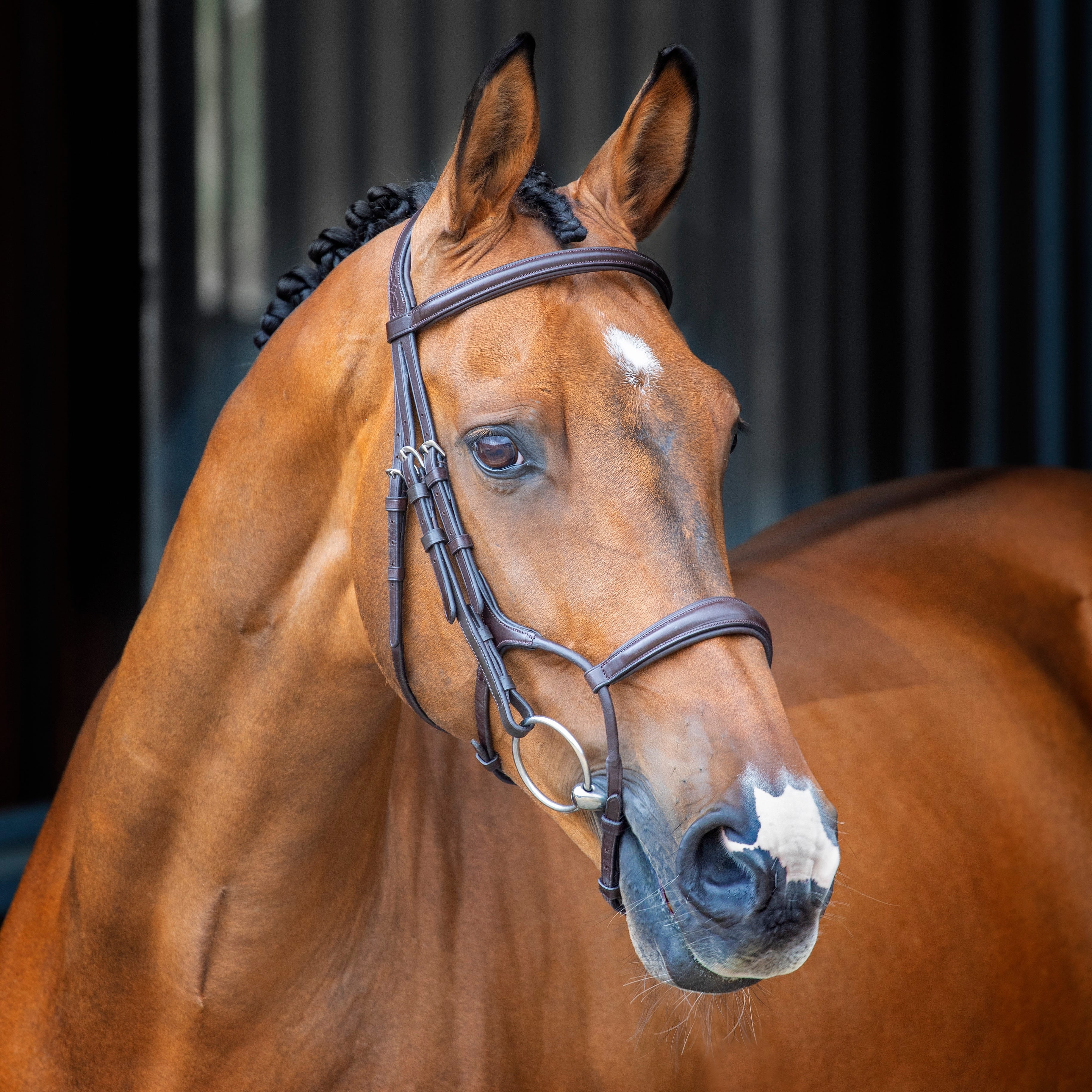 Velociti Lusso Rolled Padded Cavesson Bridle - Image 4