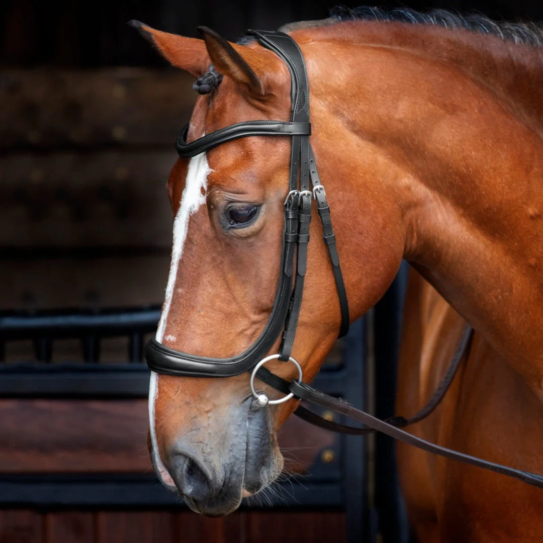 Velociti RAPIDA Ergonomic Cavesson Bridle - Image 3