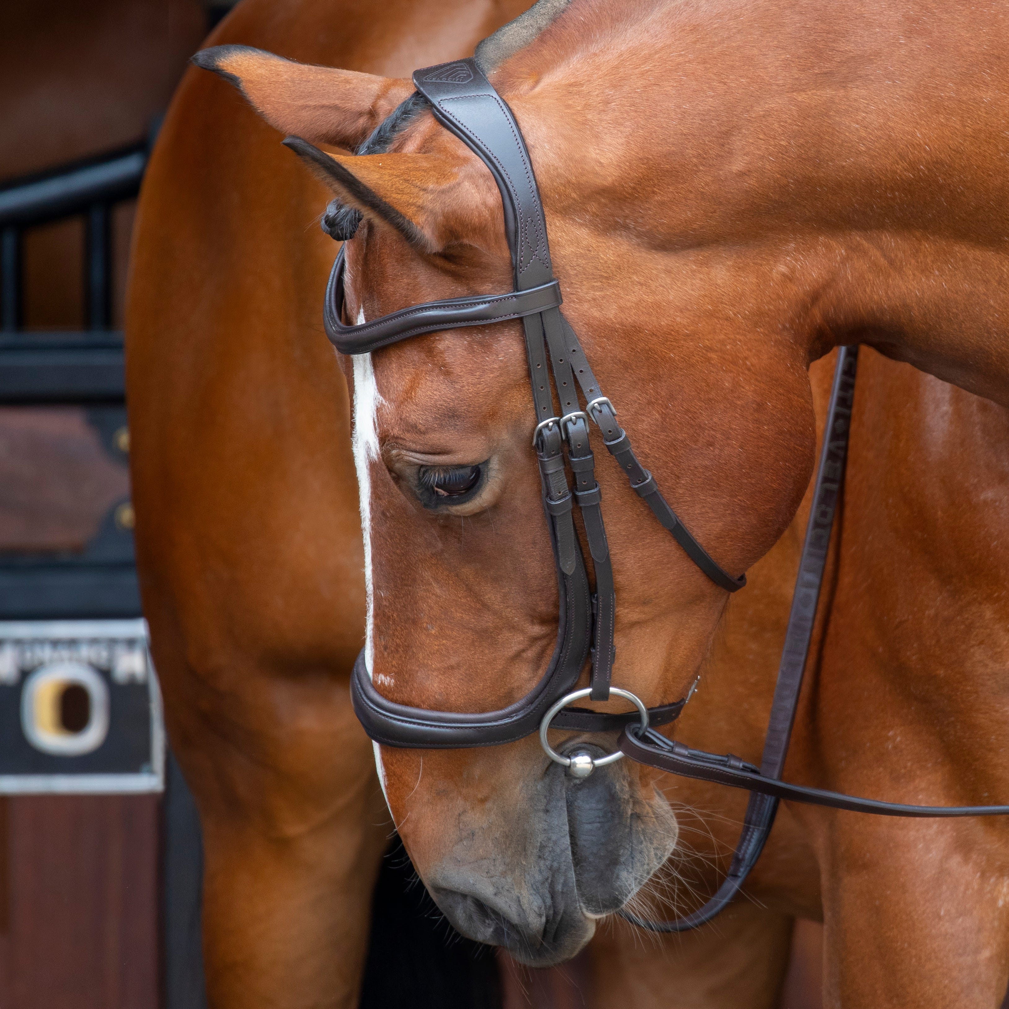 Velociti RAPIDA Ergonomic Cavesson Bridle - Image 4