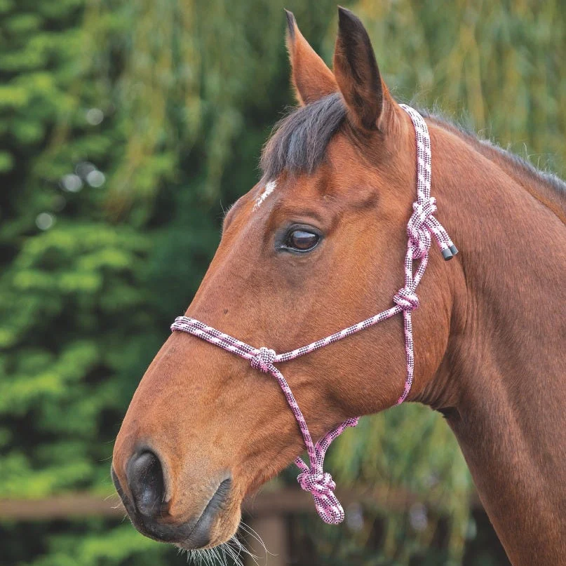 Rope Control Headcollar - Image 5