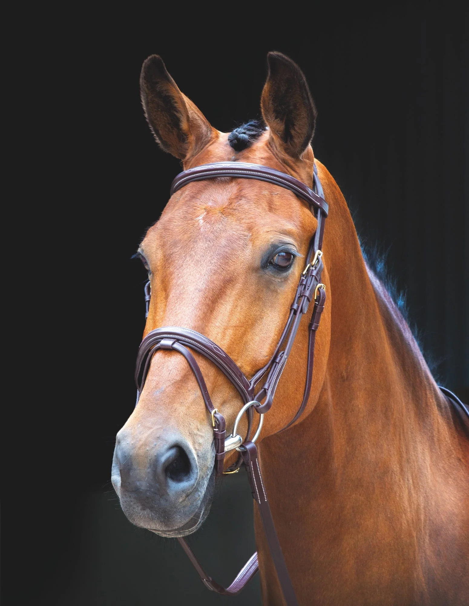 Salisbury Bodenham Bridle - Image 2