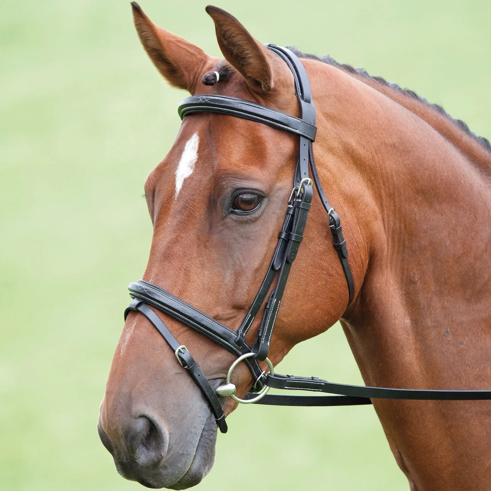 Salisbury Bodenham Bridle - Image 3