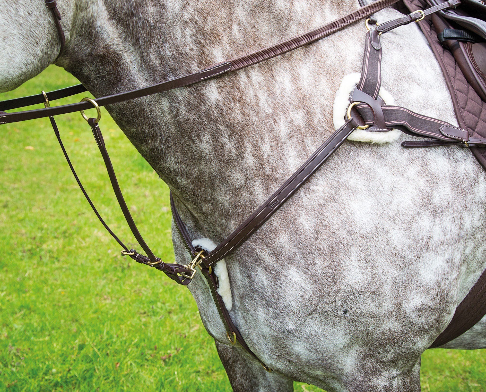 Salisbury Five Point Breastplate - Image 3