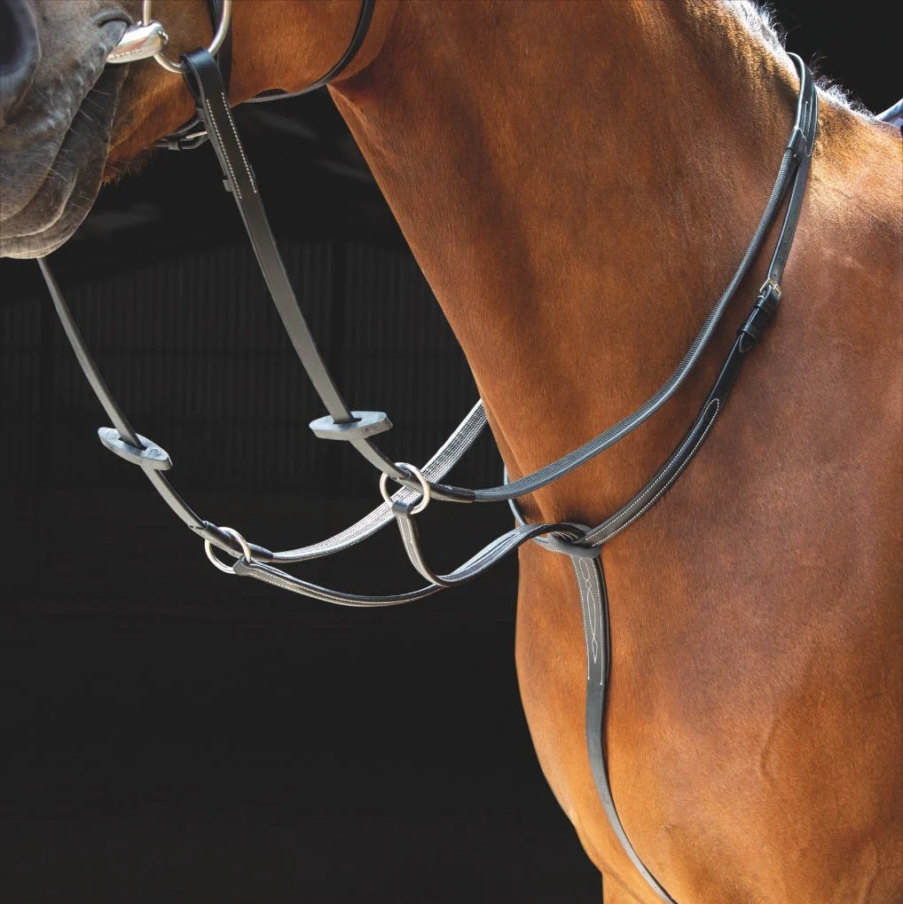 Salisbury Running Martingale