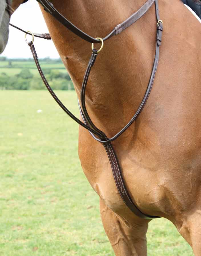 Salisbury Running Martingale - Image 2
