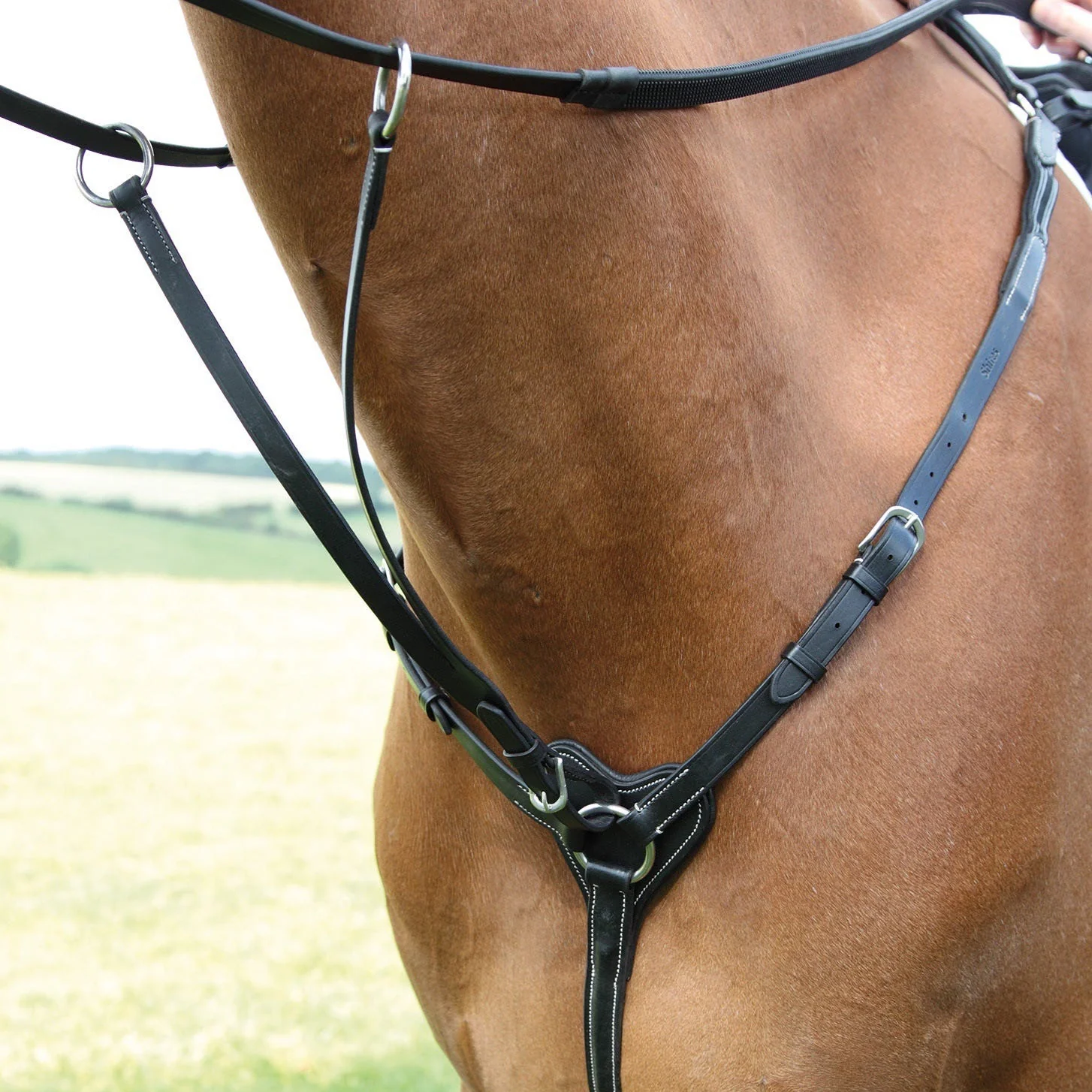 Salisbury Three Point Breastplate - Image 3