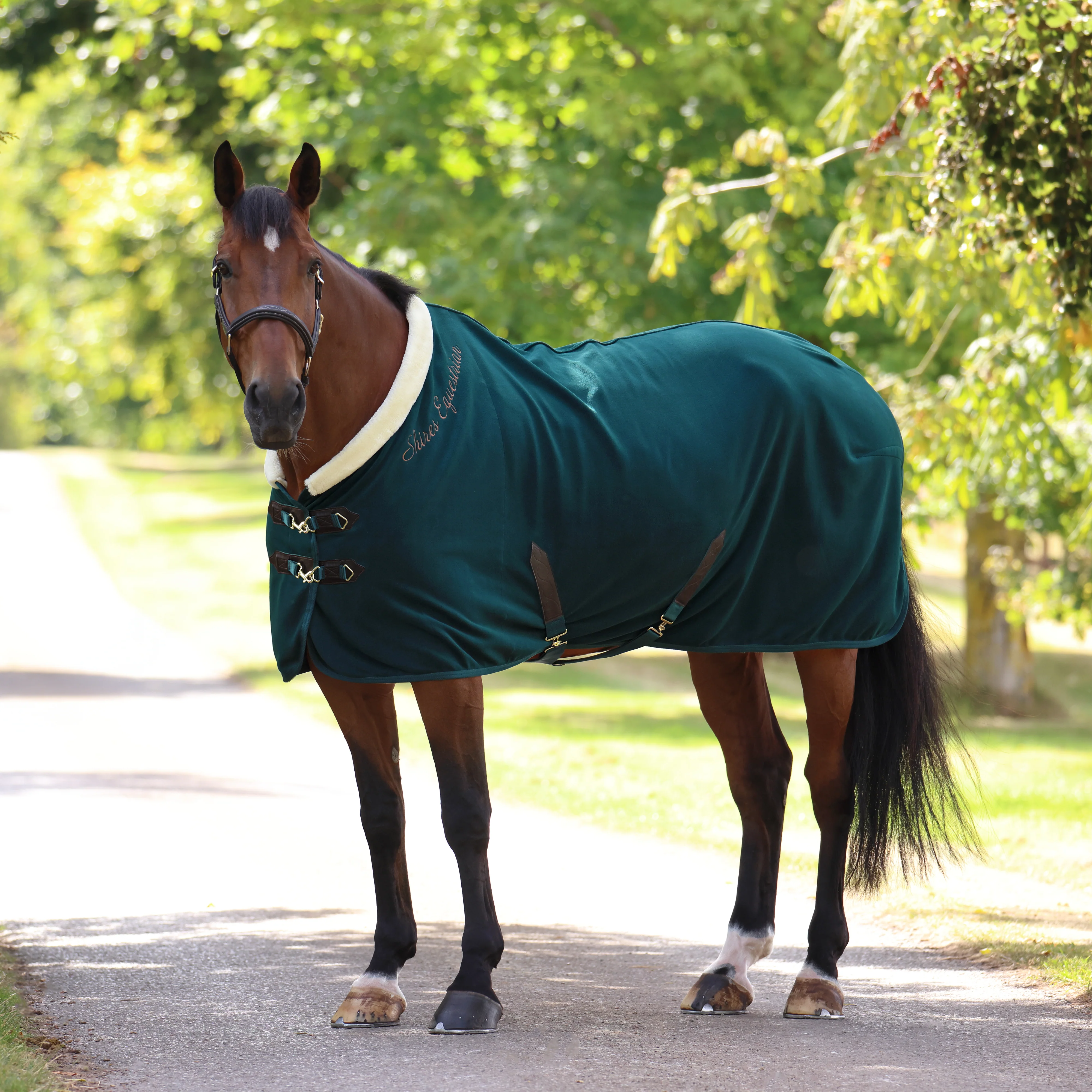 Shires Deluxe Fleece Rug - Image 3
