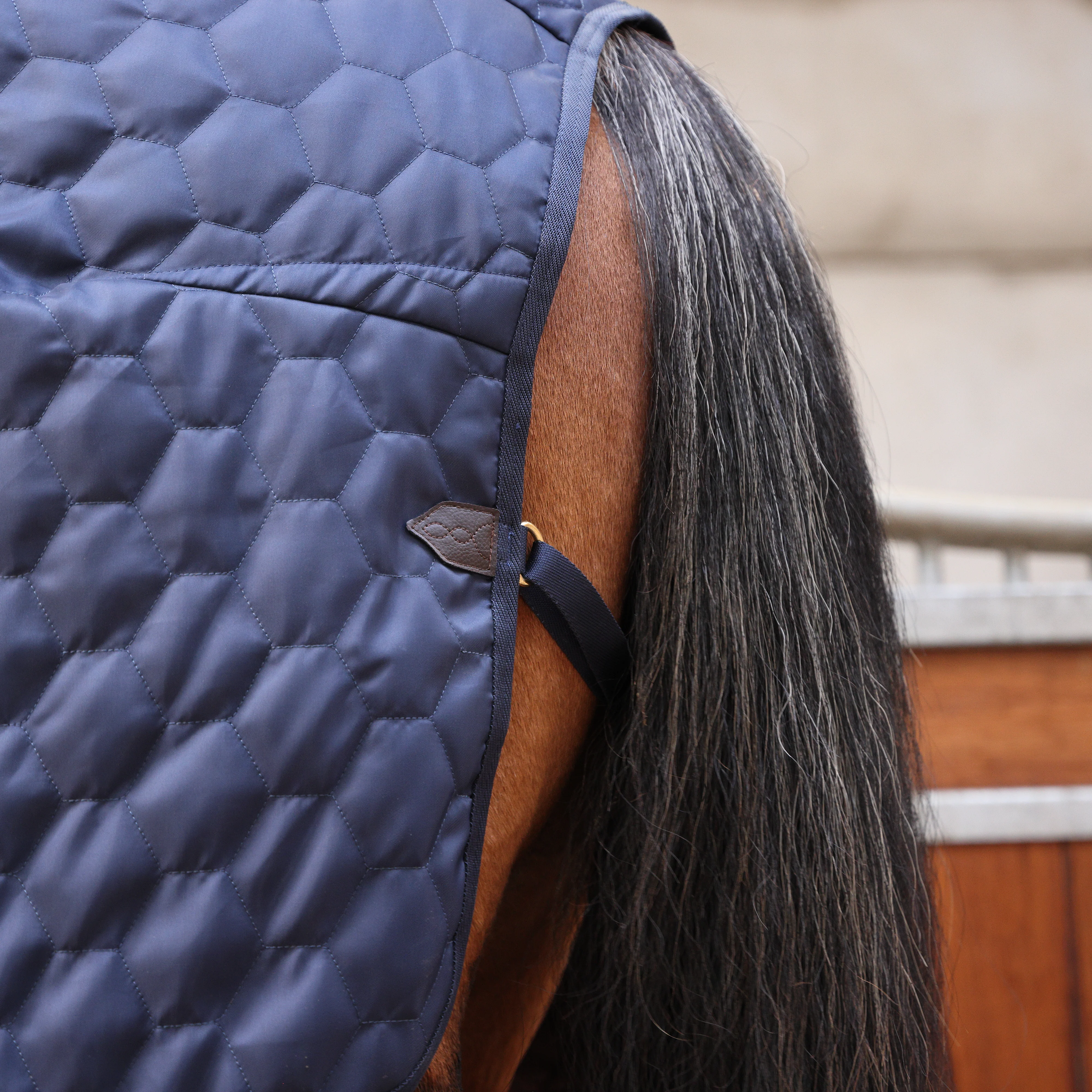 Shires Deluxe Quilted Rug - Image 5