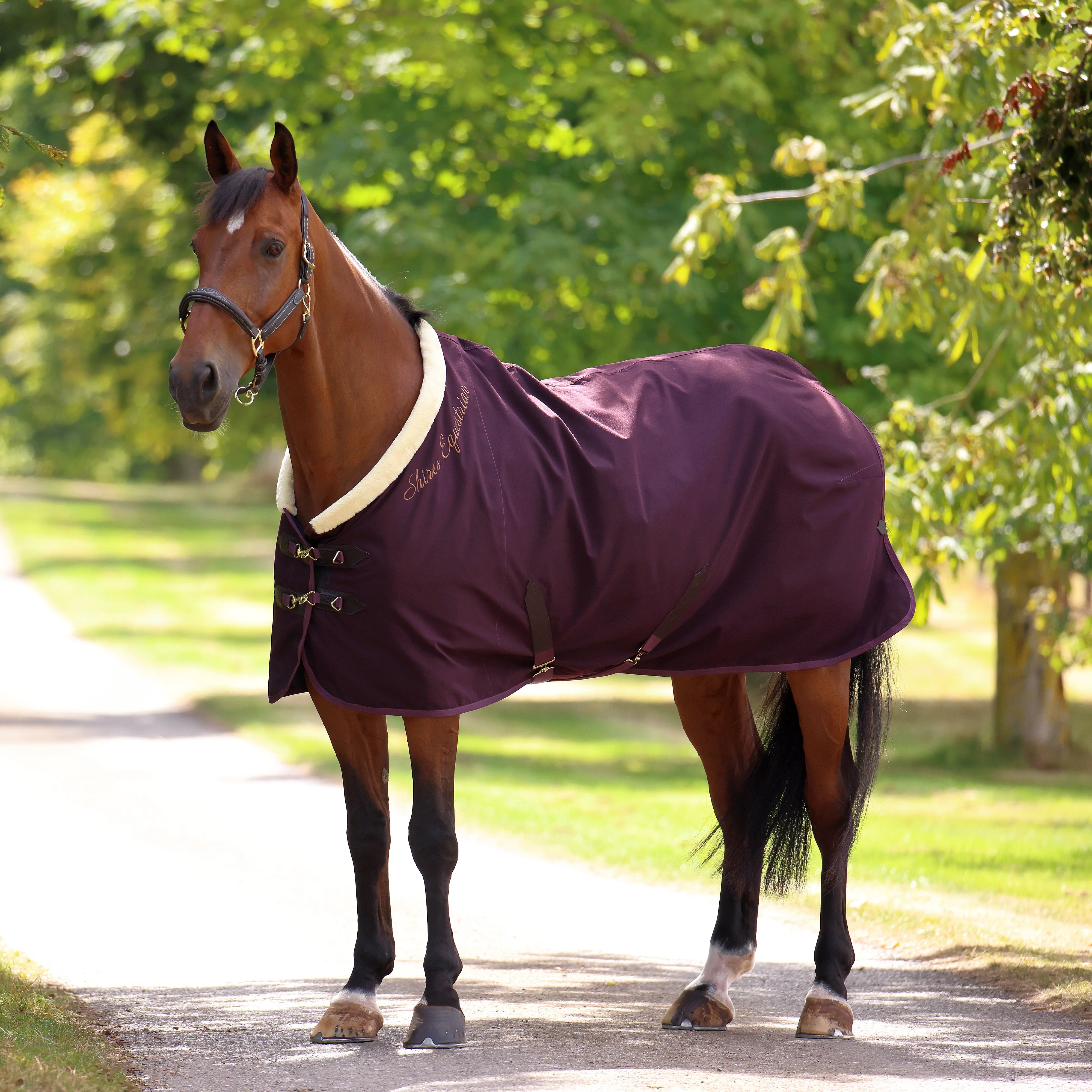 Shires Deluxe Stable Sheet - Image 7