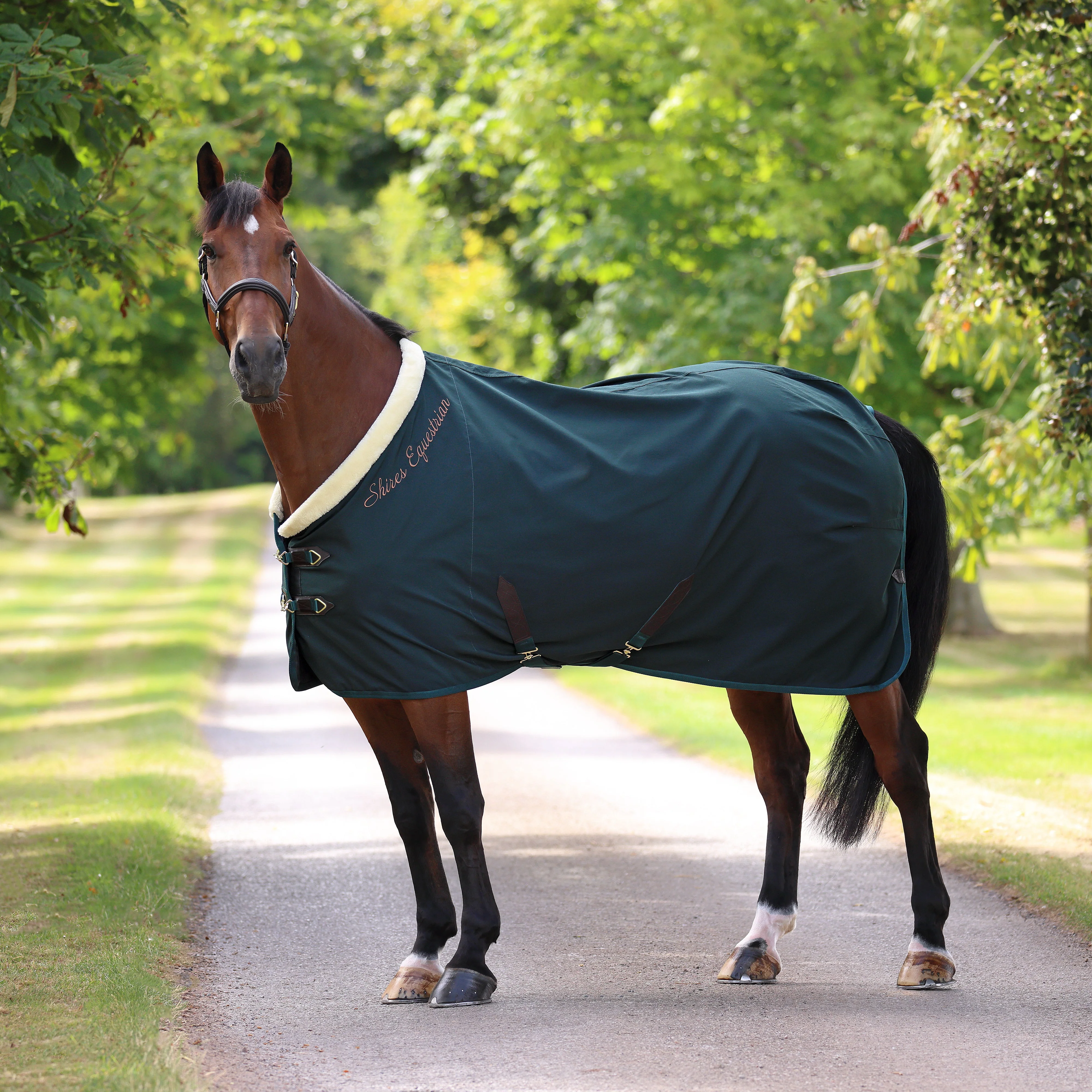 Shires Deluxe Stable Sheet - Image 8