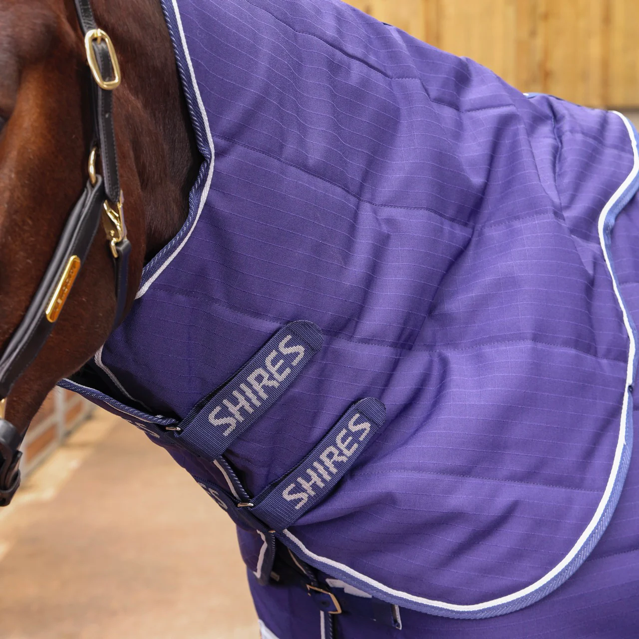 Tempest Original 100 Stable Rug & Neck - Image 2