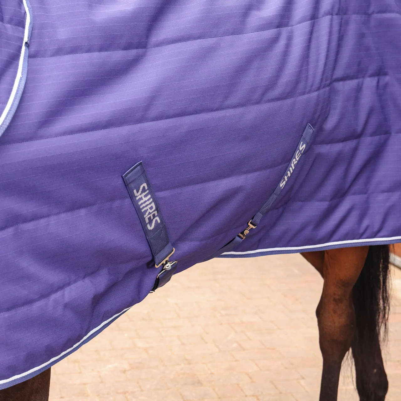 Tempest Original 100 Stable Rug & Neck - Image 3