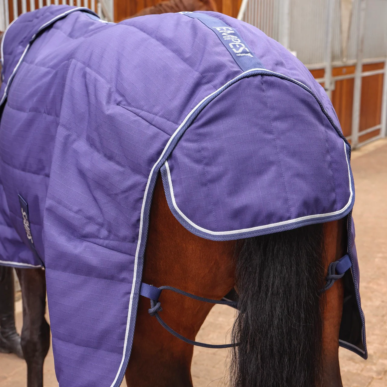 Tempest Original 100 Stable Rug & Neck - Image 4