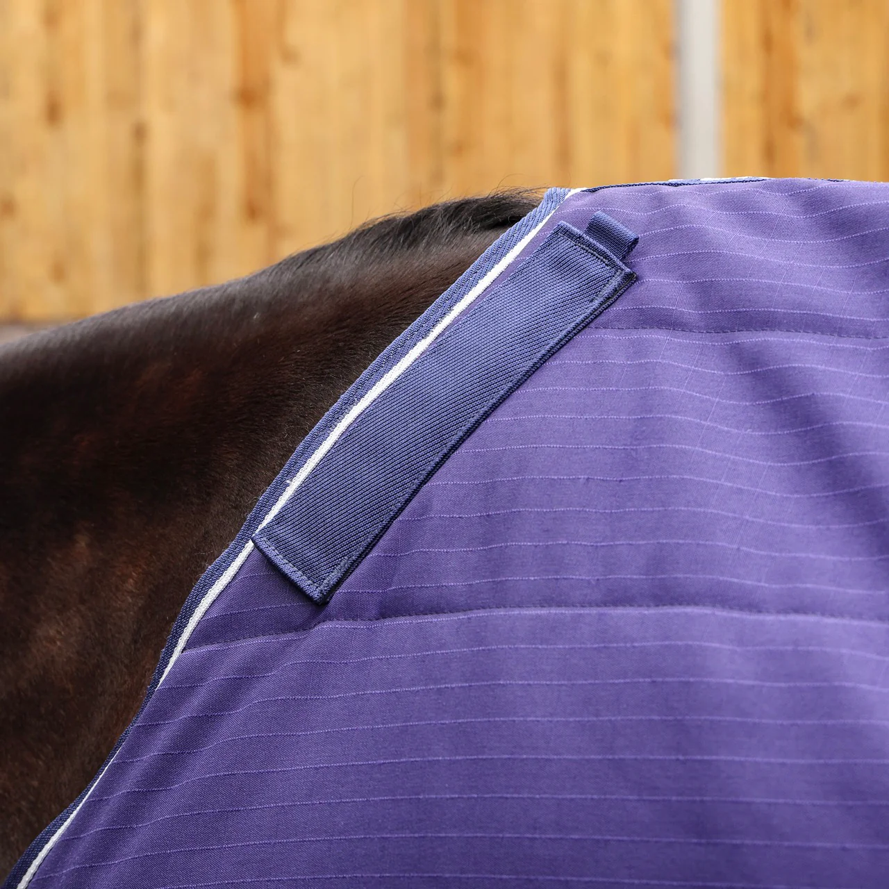Tempest Original 100 Stable Rug & Neck - Image 6