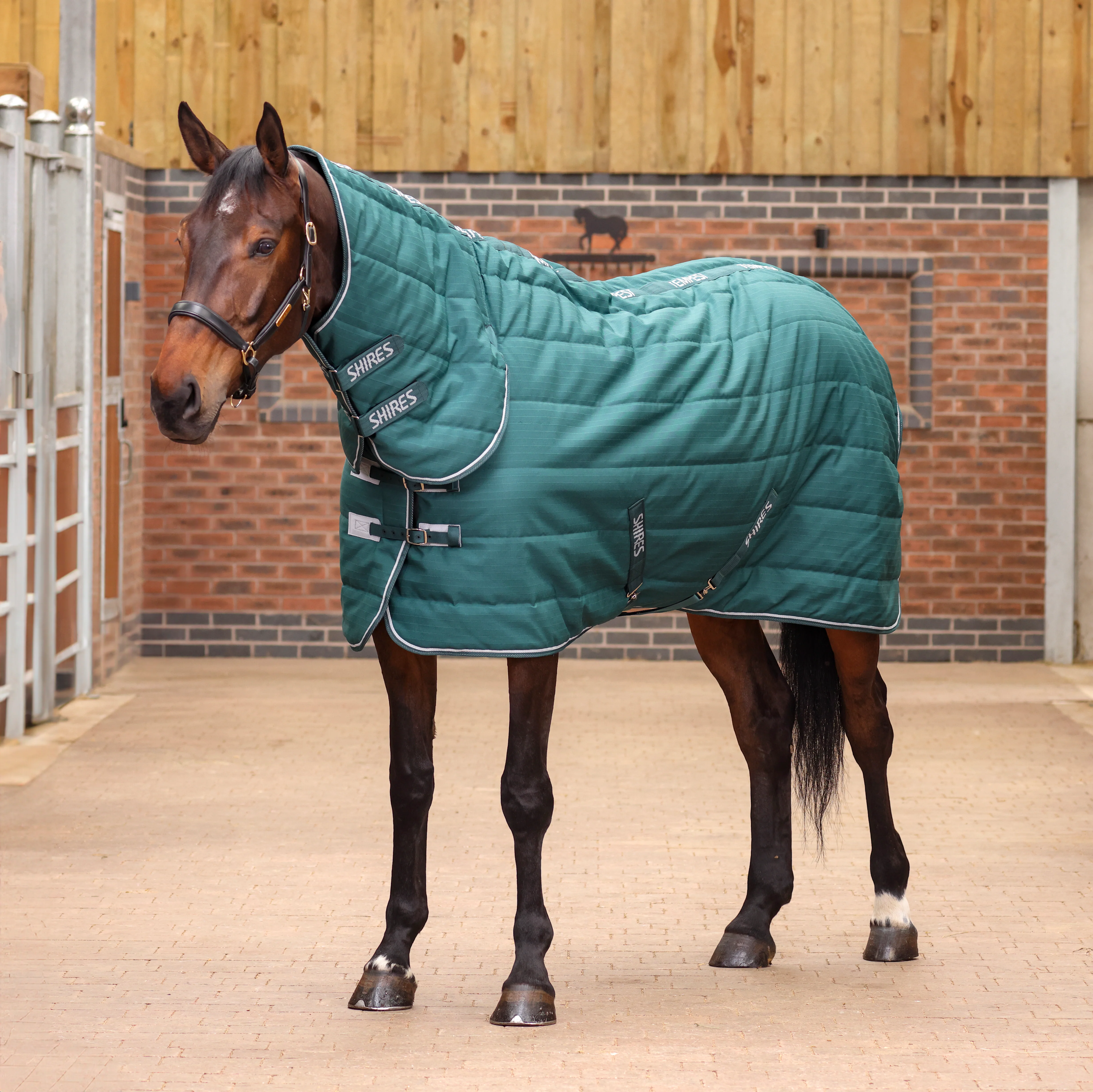 Shires Tempest Original 200 Combo Stable Rug