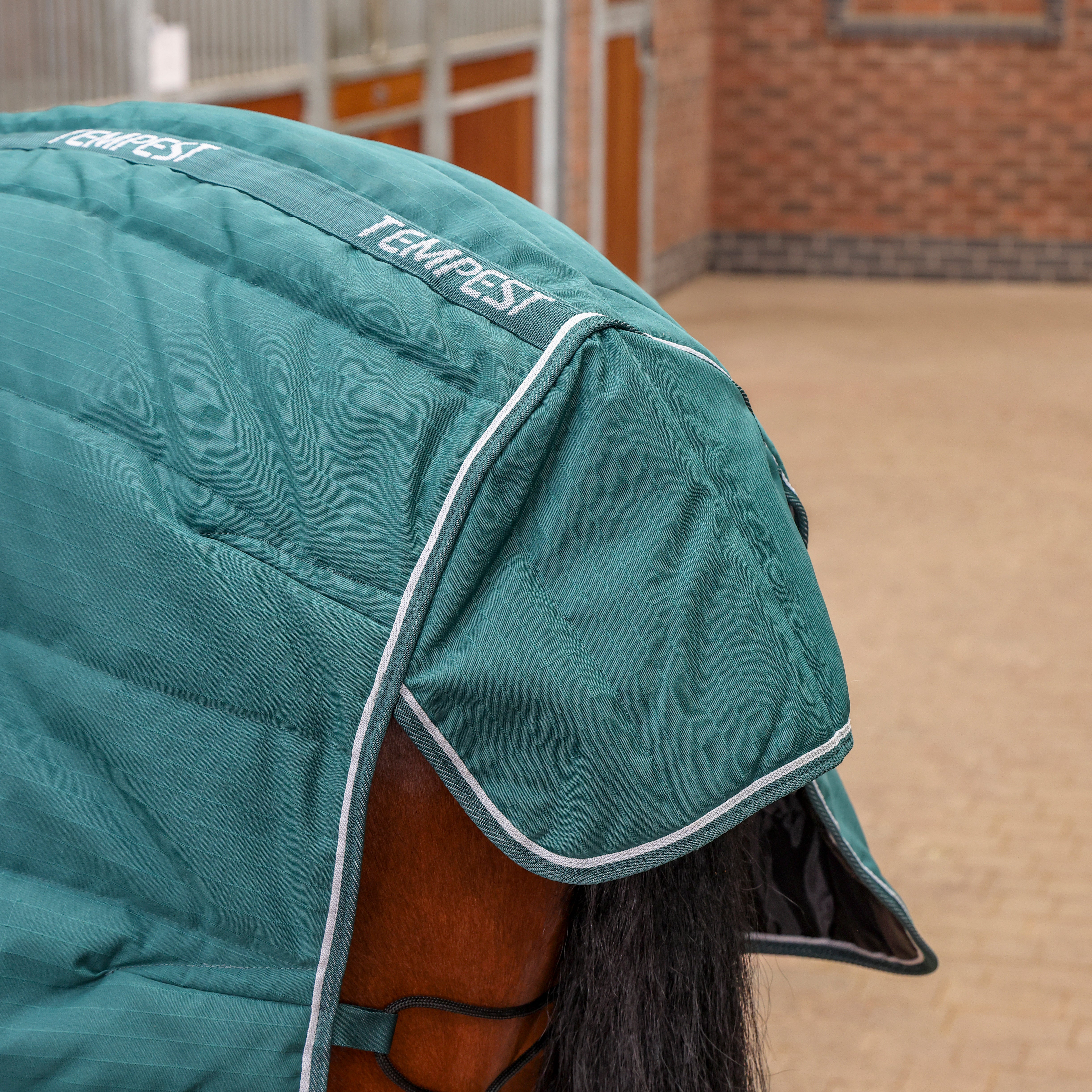 Shires Tempest Original 200 Combo Stable Rug - Image 6