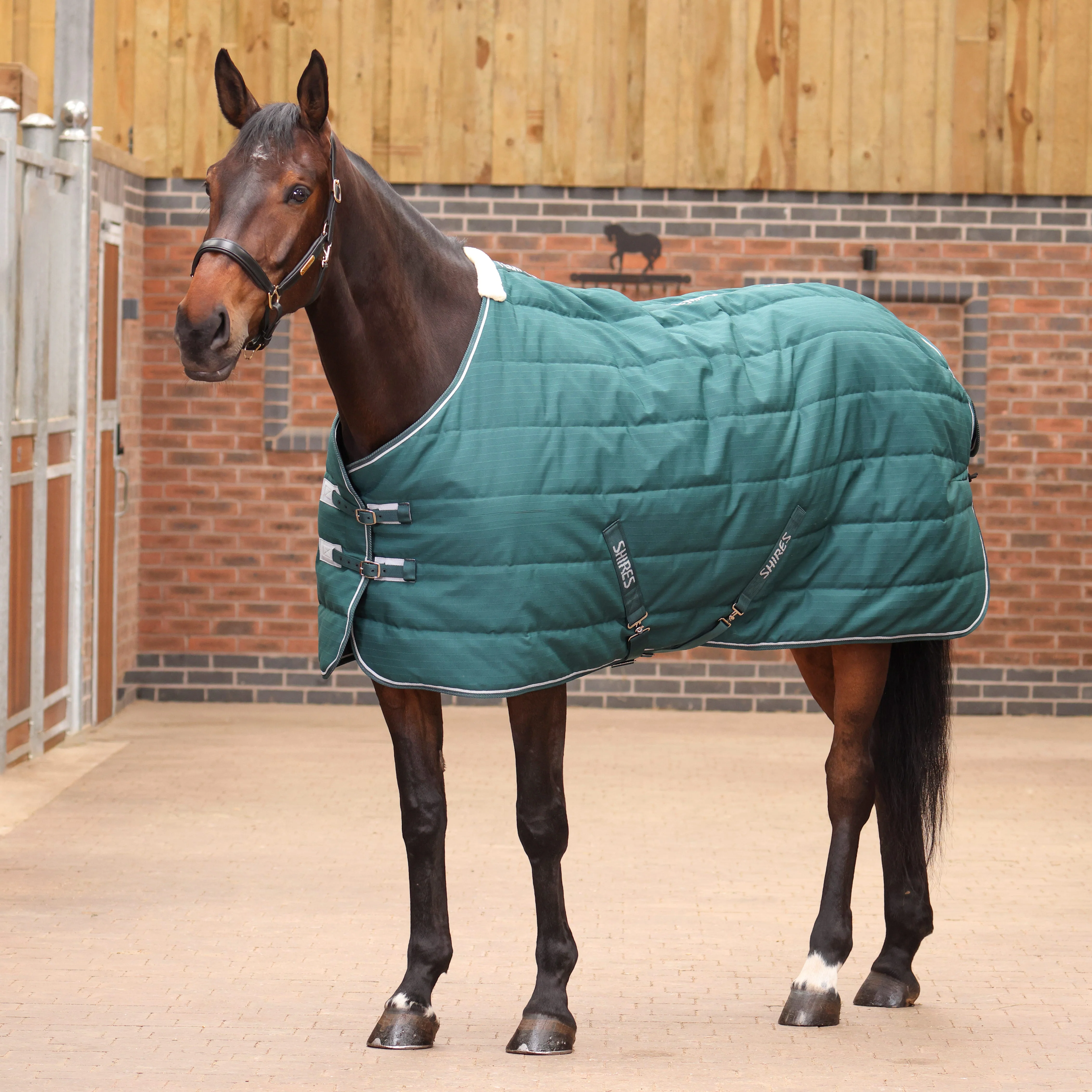 Shires Tempest Original 200 Stable Rug - Image 10