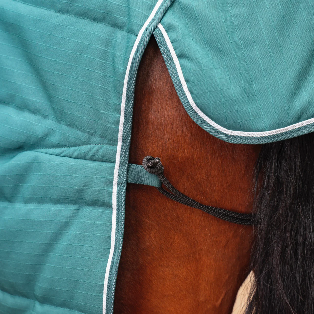 Shires Tempest Original 200 Stable Rug - Image 8