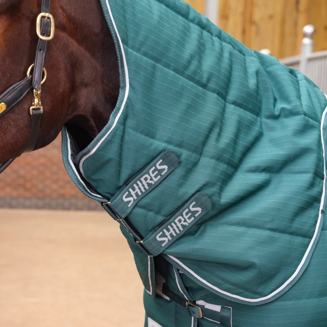 Tempest Original 200 Stable Rug & Neck - Image 2