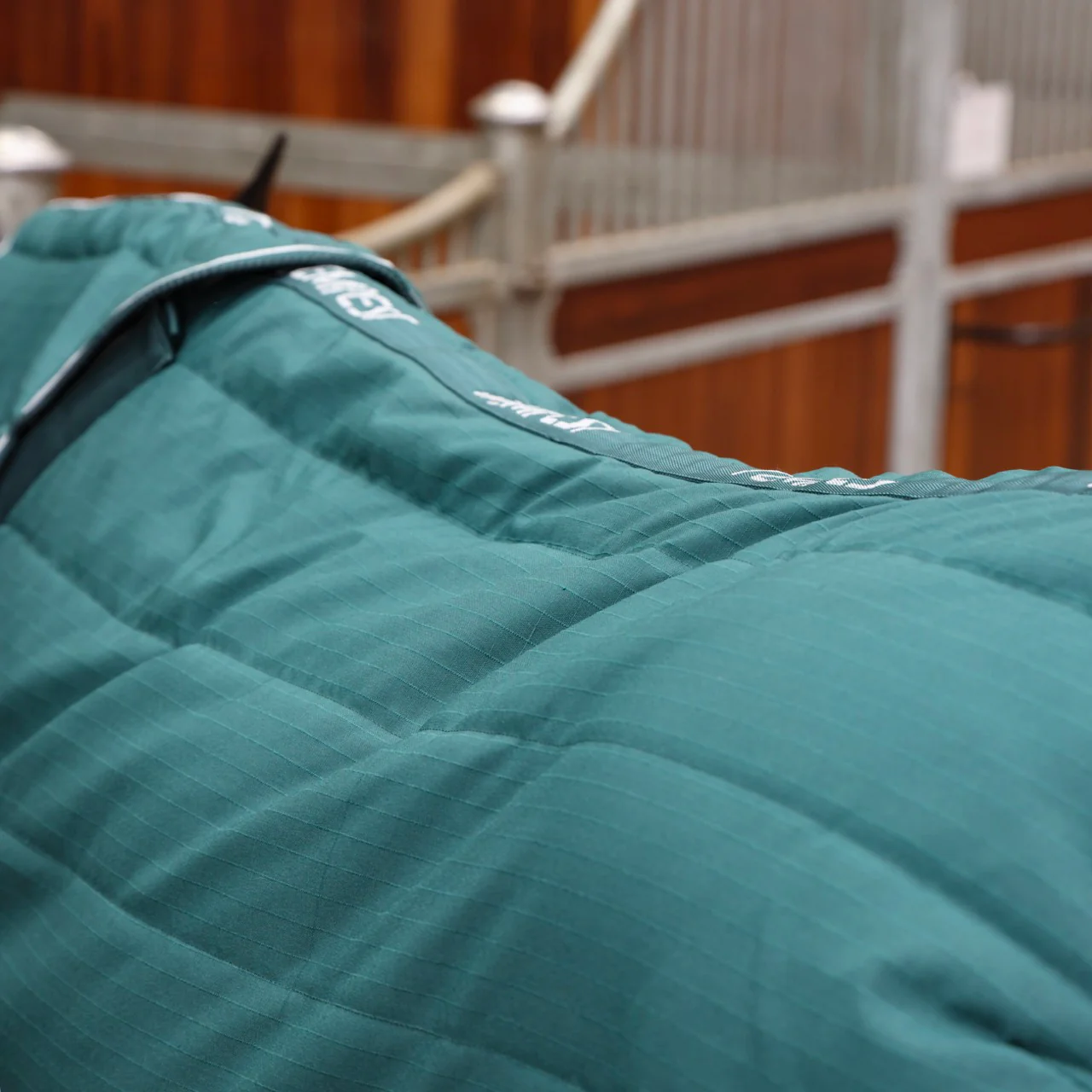 Tempest Original 200 Stable Rug & Neck - Image 3