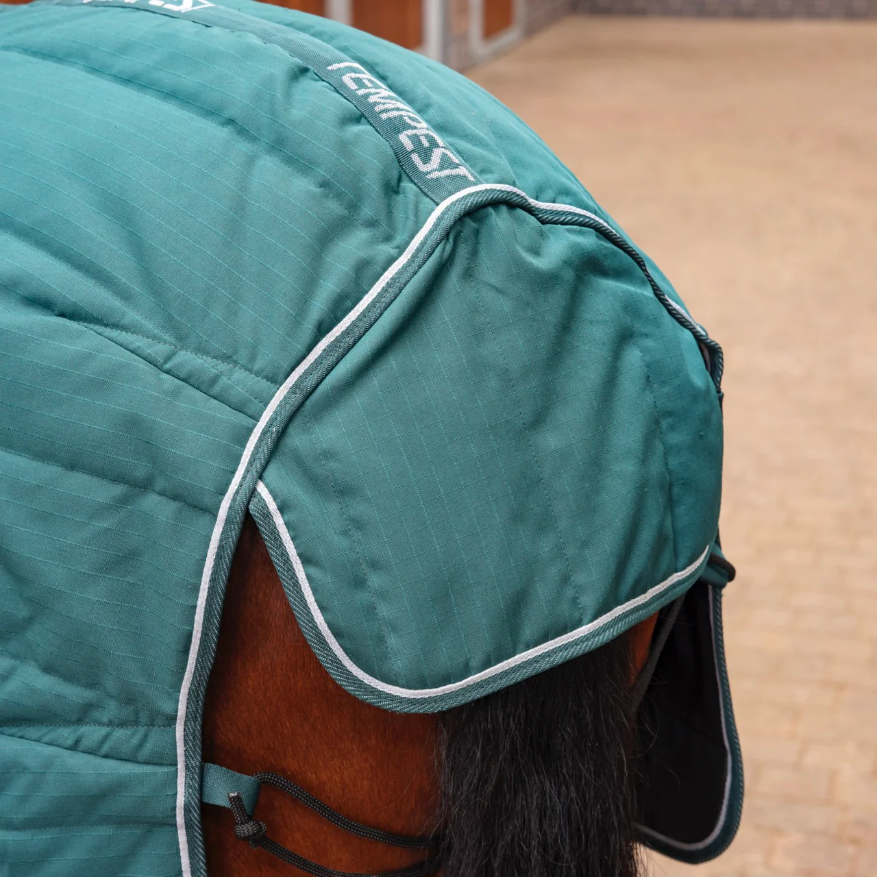 Tempest Original 200 Stable Rug & Neck - Image 4