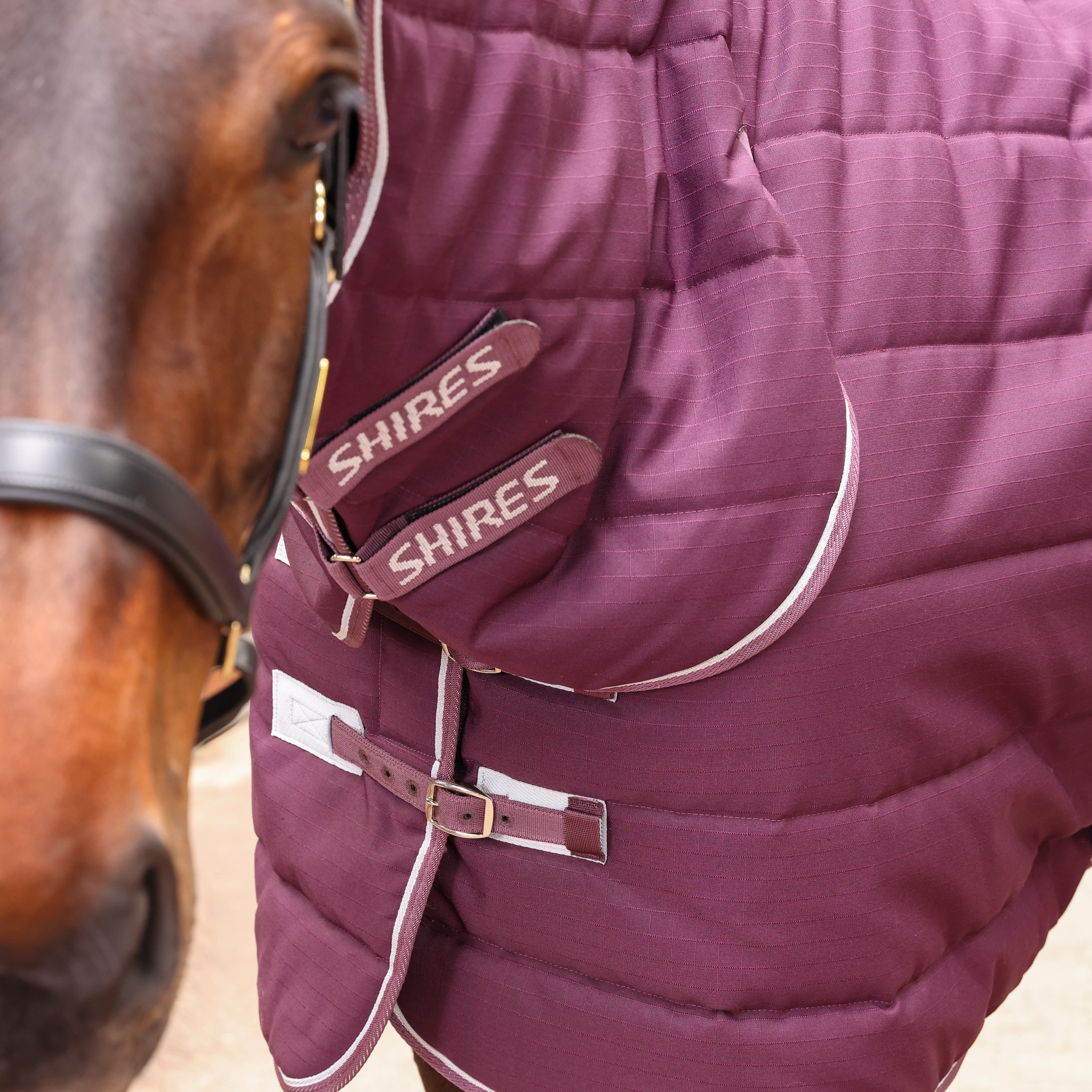 Shires Tempest Original 300 Combo Stable Rug - Image 4