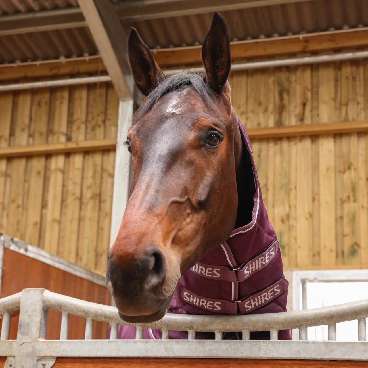 Shires Tempest Original 300 Combo Stable Rug - Image 9