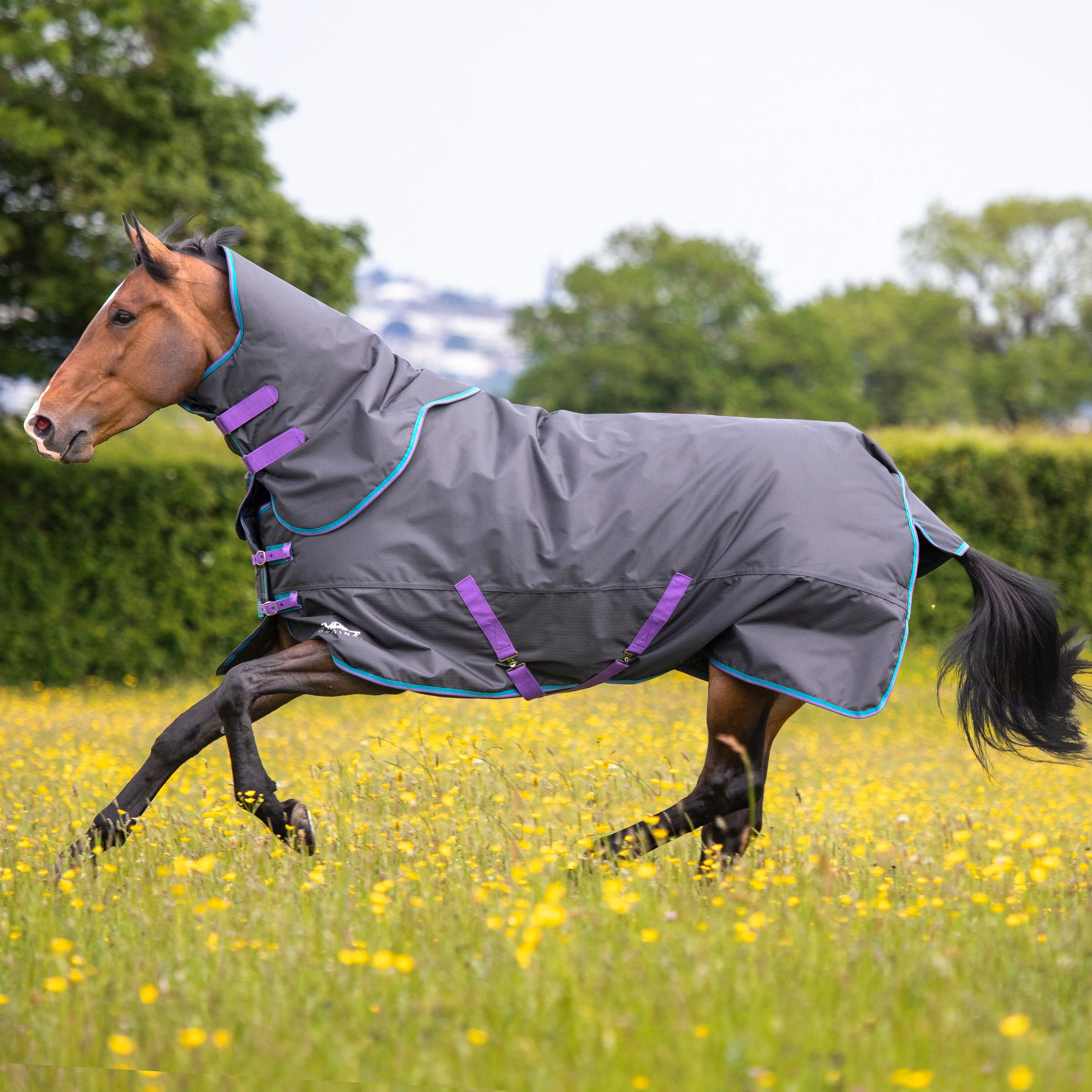 Tempest Original 300 Turnout Rug & Neck