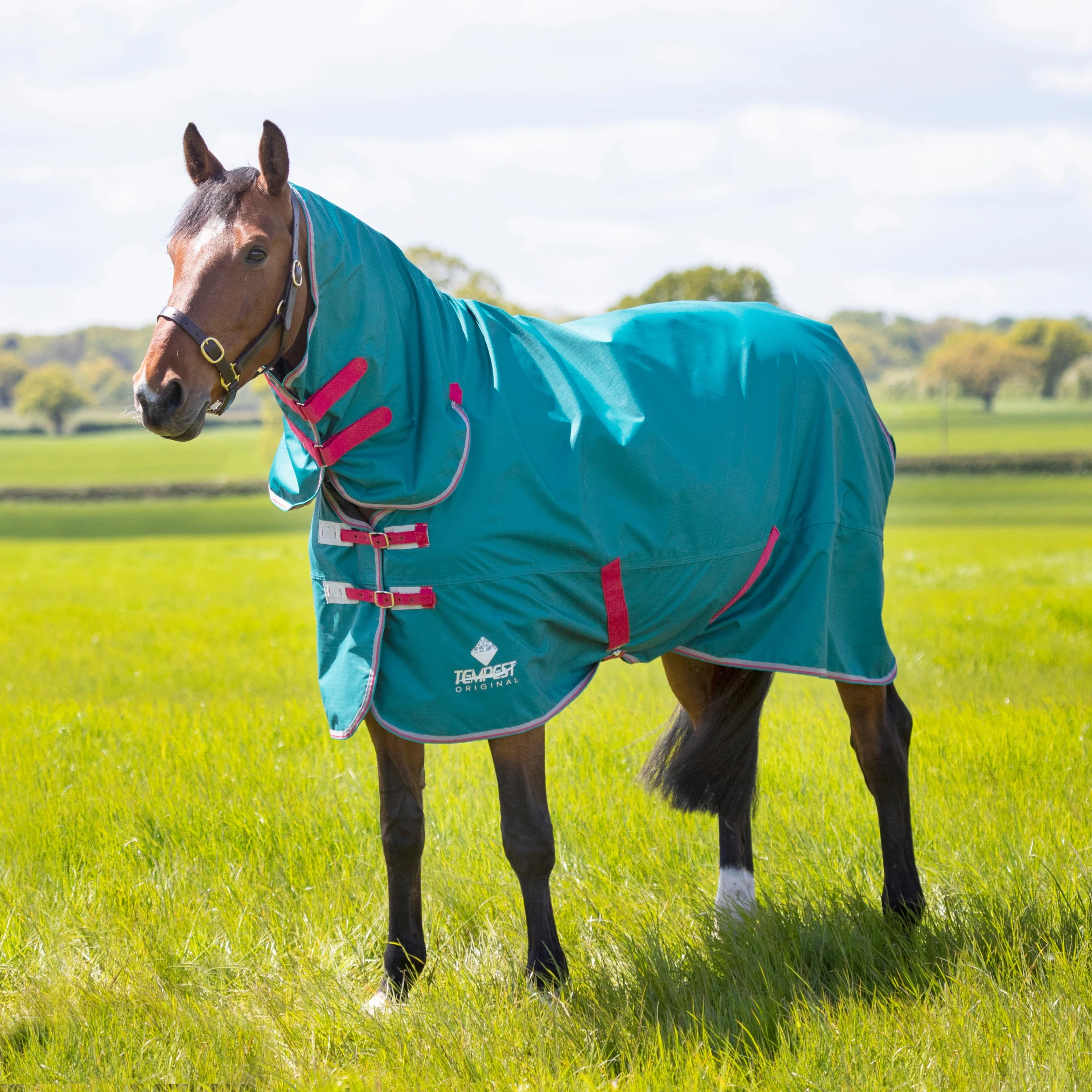 Tempest Original Air Motion Combo Rug