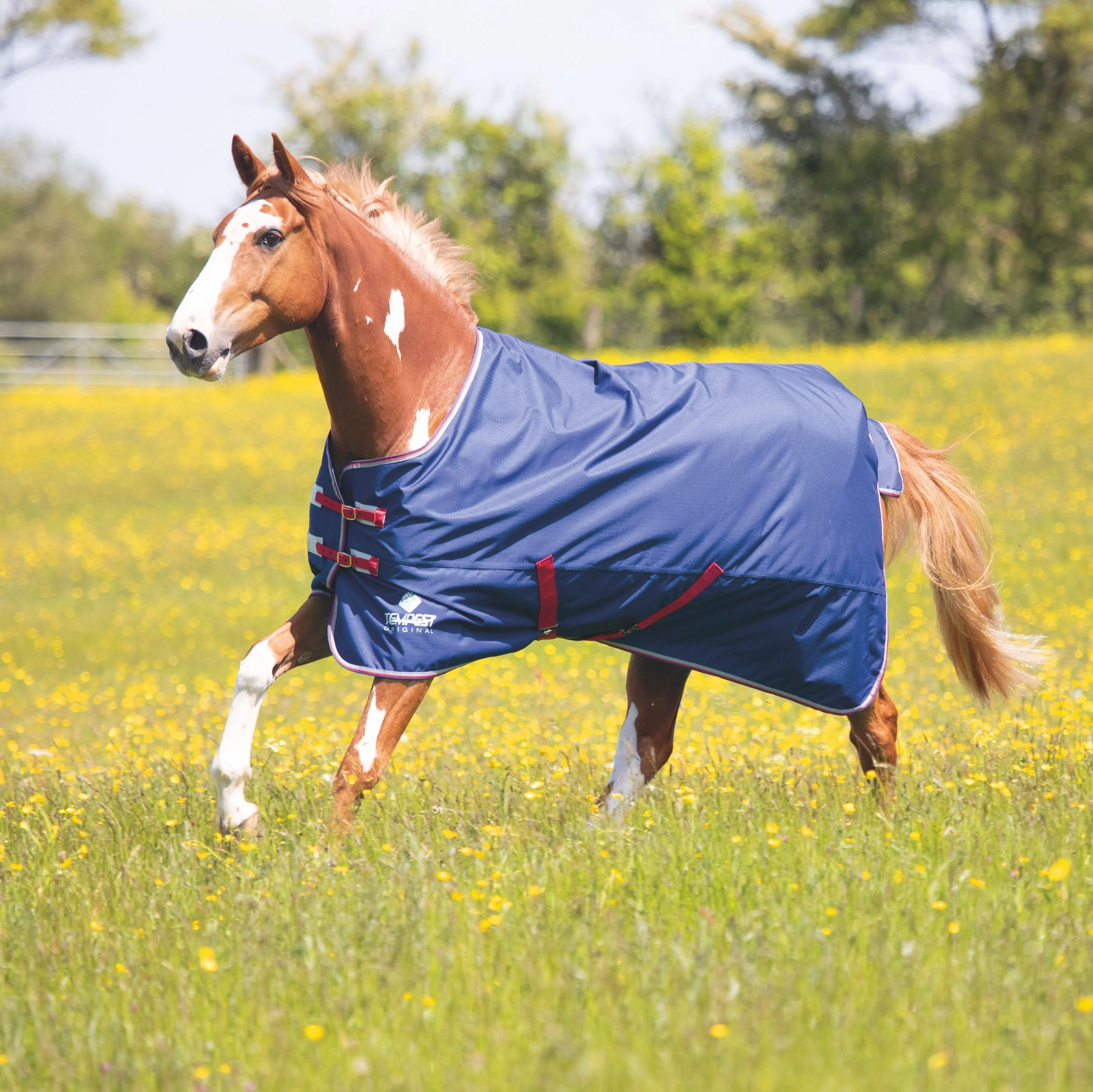 Tempest Original Air Motion Turnout Rug