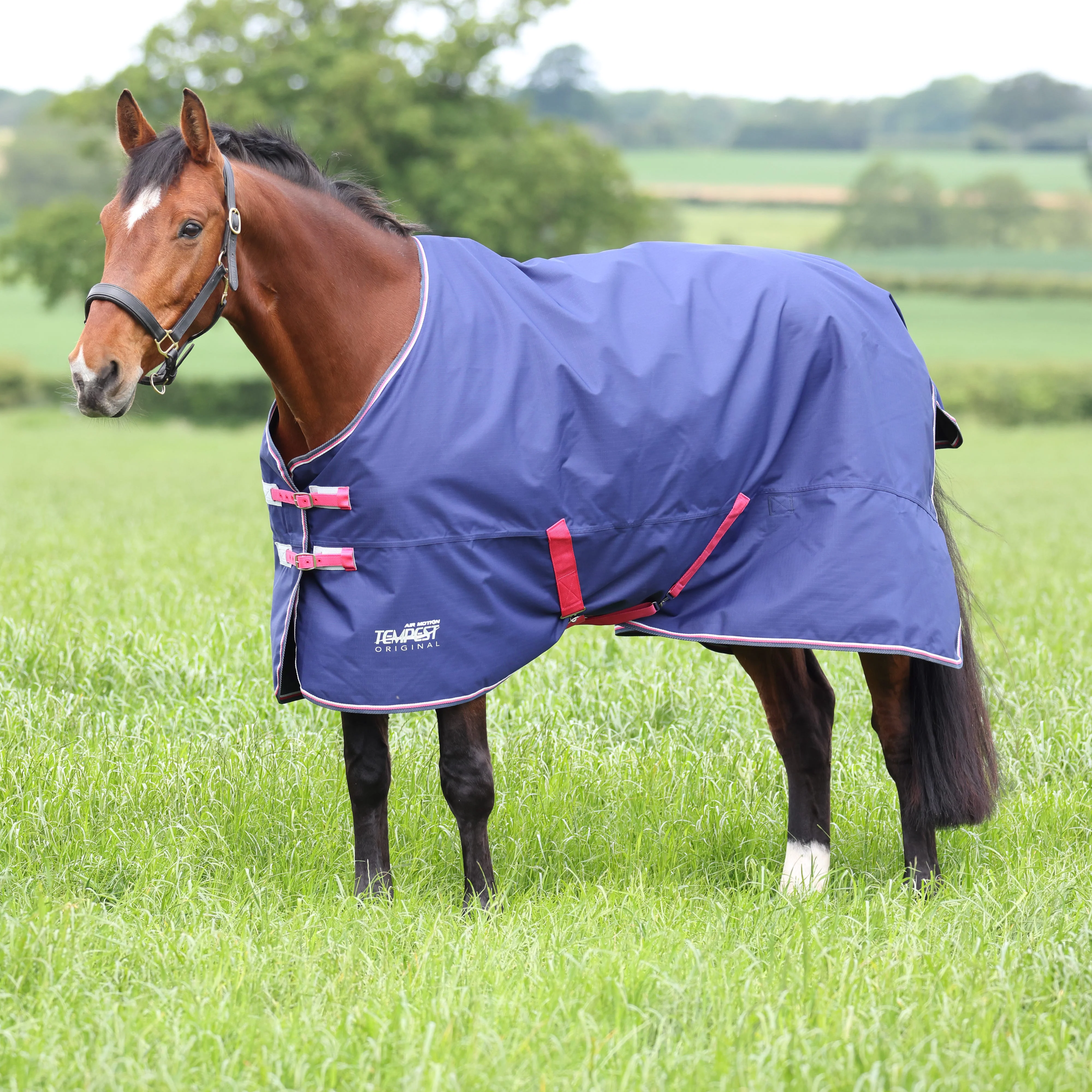 Tempest Original Air Motion Turnout Rug - Image 9