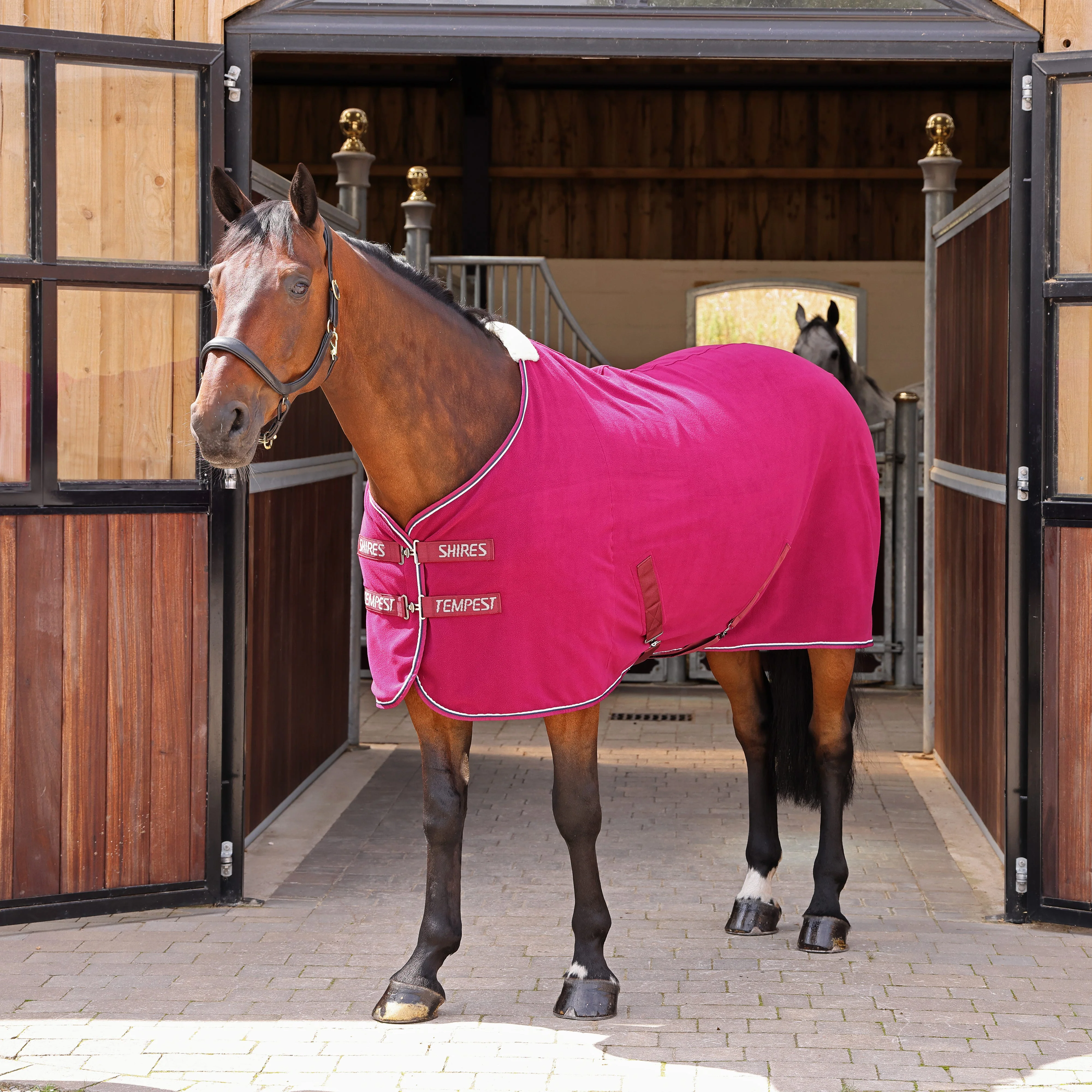 Shires Tempest Original Fleece Rug - Image 2