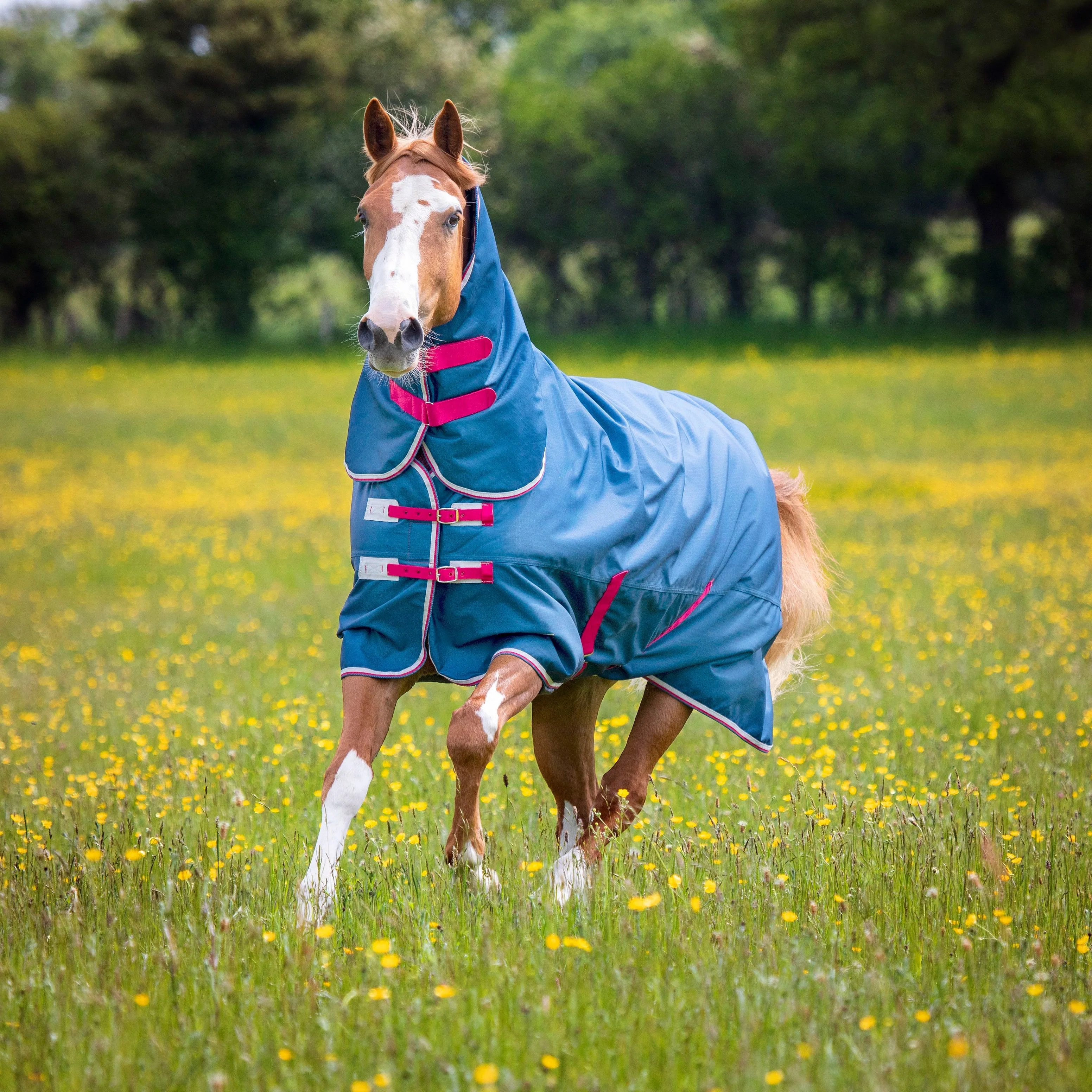 Tempest Original Lite Turnout Combo Rug