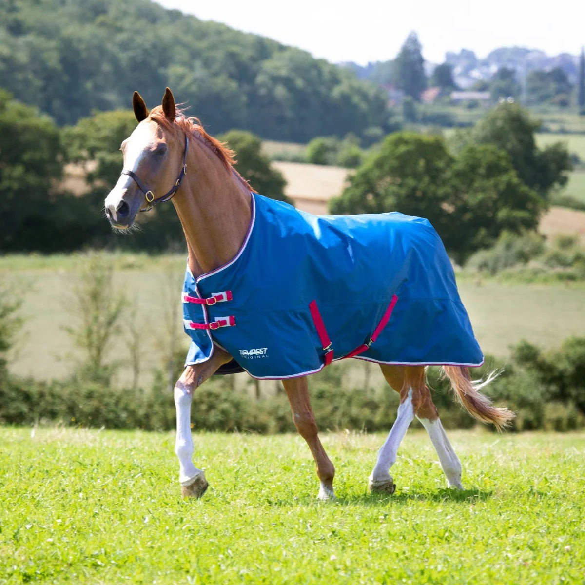 Shires Tempest Original Lite Turnout Rug