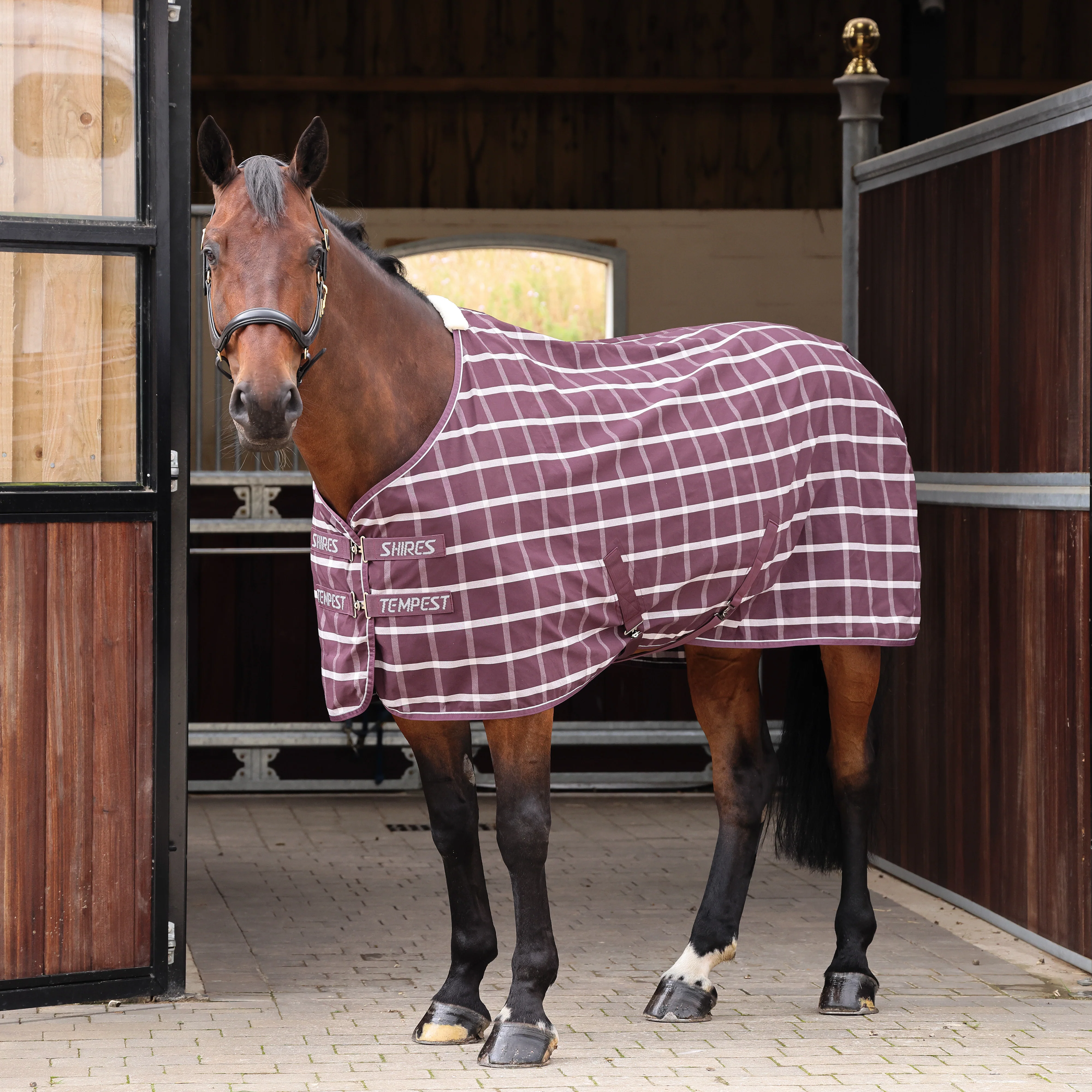 Shires Tempest Original Stable Sheet - Image 3