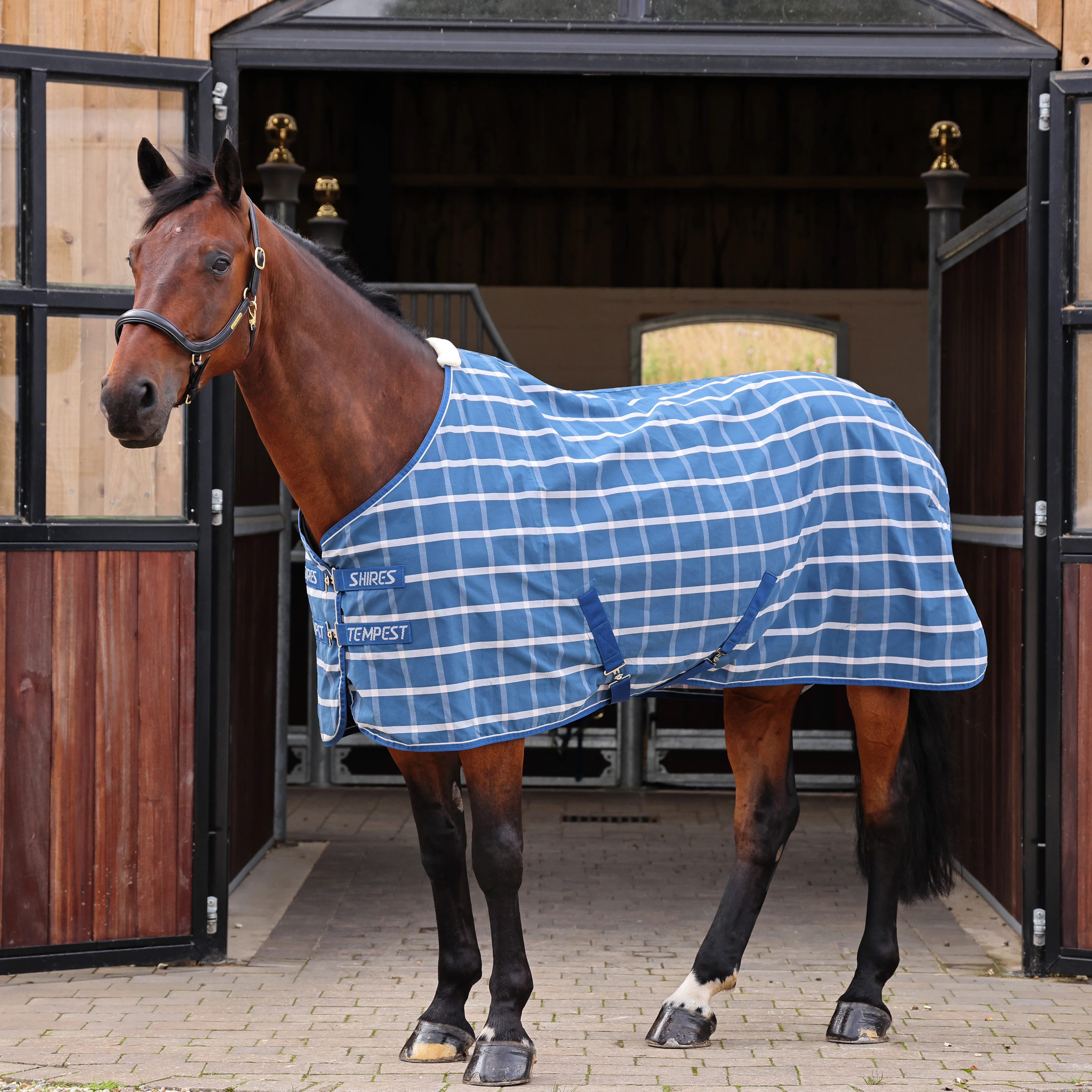 Shires Tempest Original Stable Sheet - Image 4