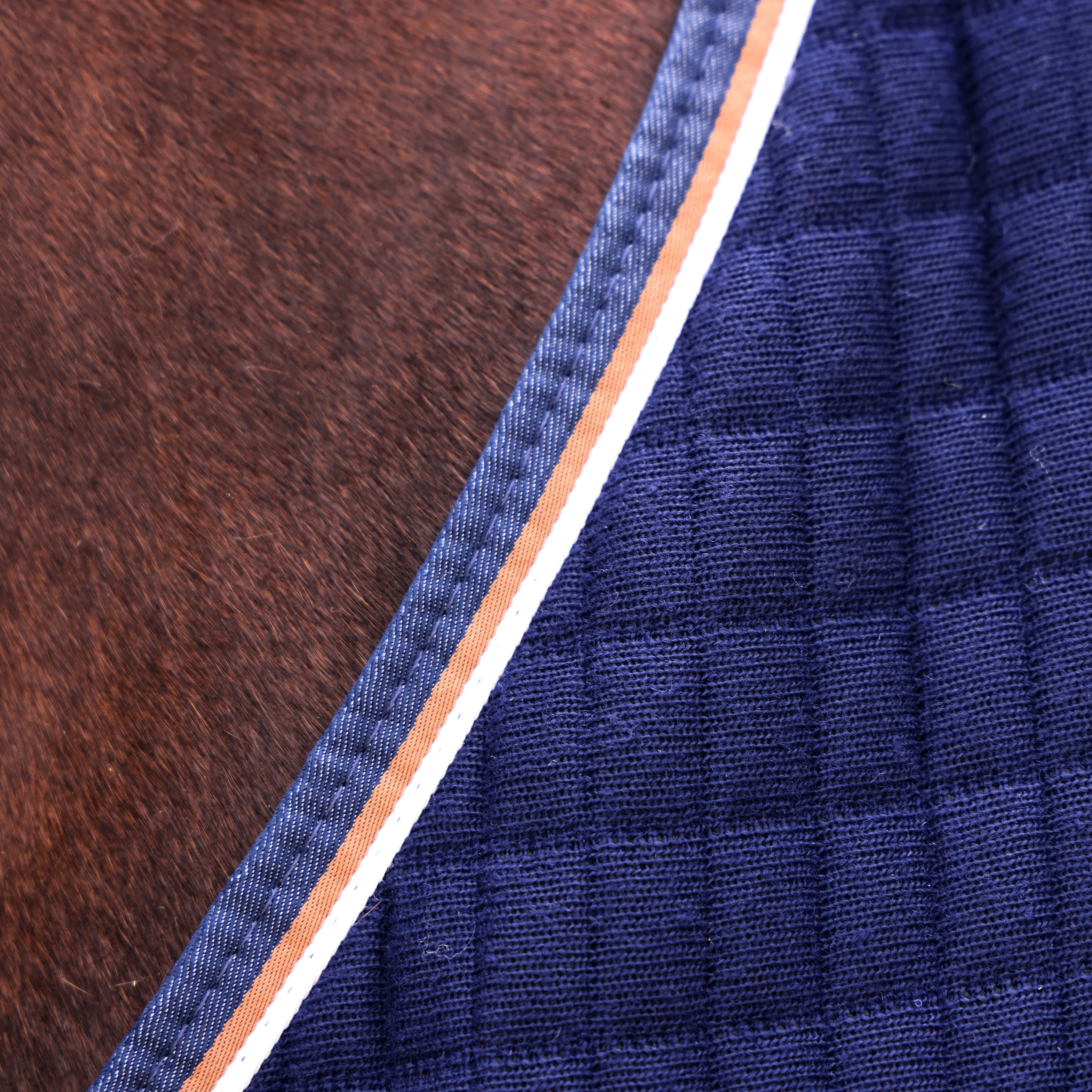 Shires Tempest Original Tech Cooler Rug - Image 4