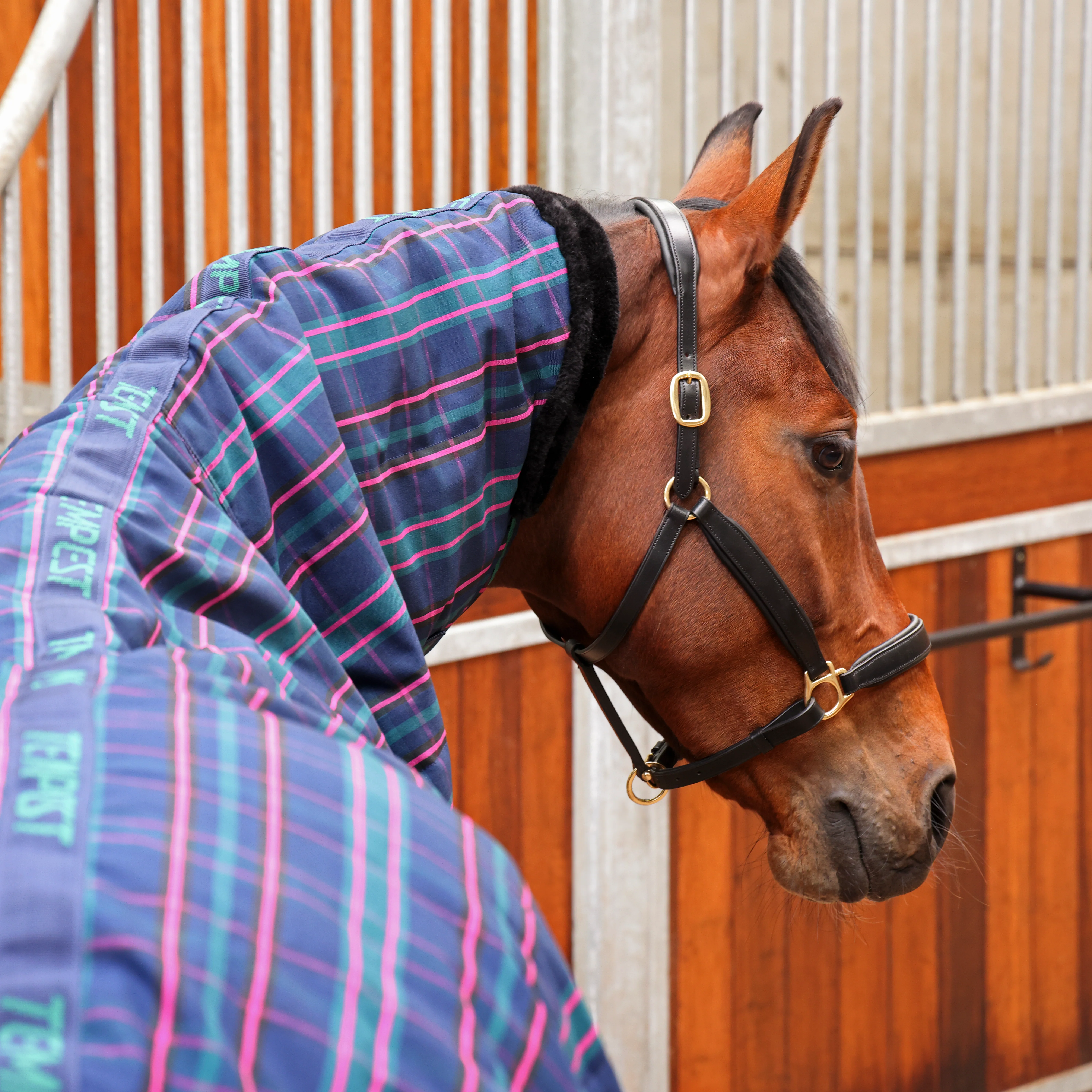 Tempest Plus 100 Stable Combo Rug - Image 2