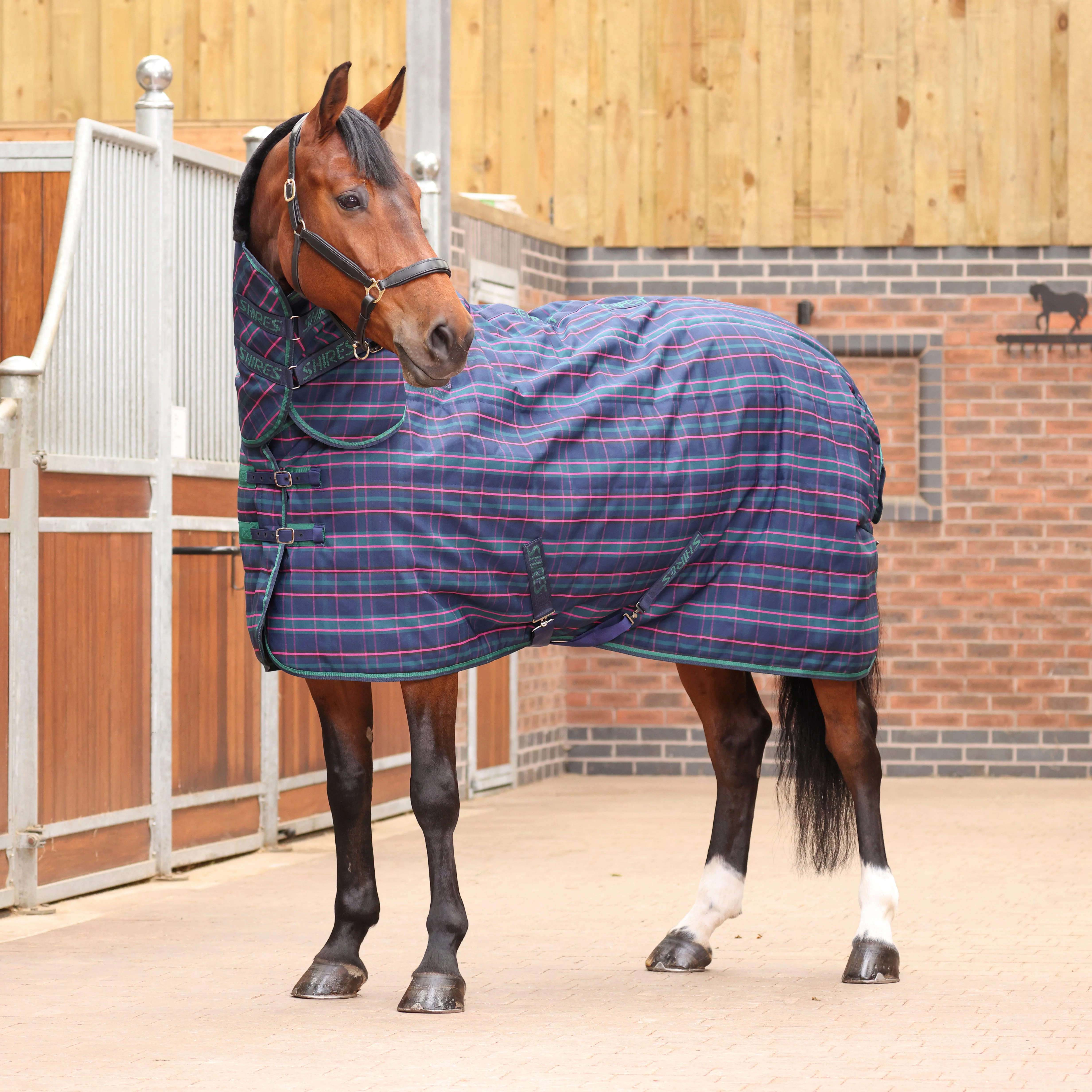 Tempest Plus 100 Stable Combo Rug - Image 3