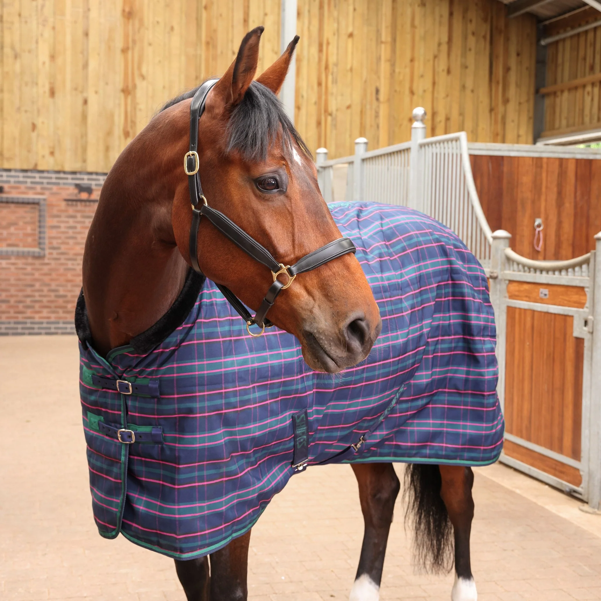 Shires Tempest Plus 100 Stable Rug - Image 2