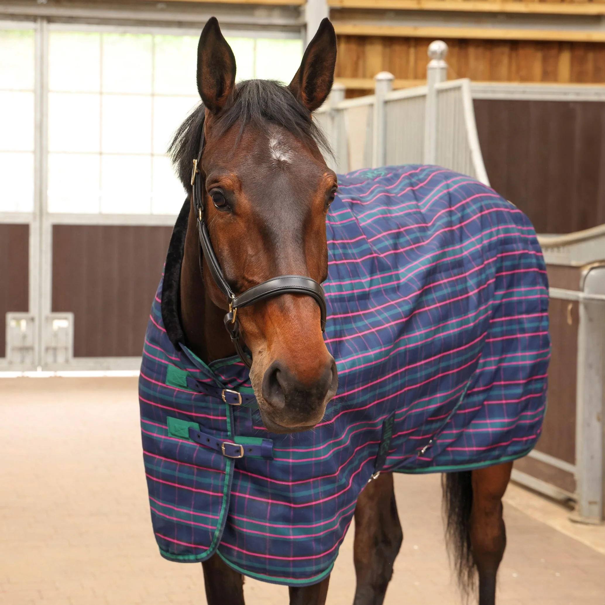 Shires Tempest Plus 100 Stable Rug - Image 3