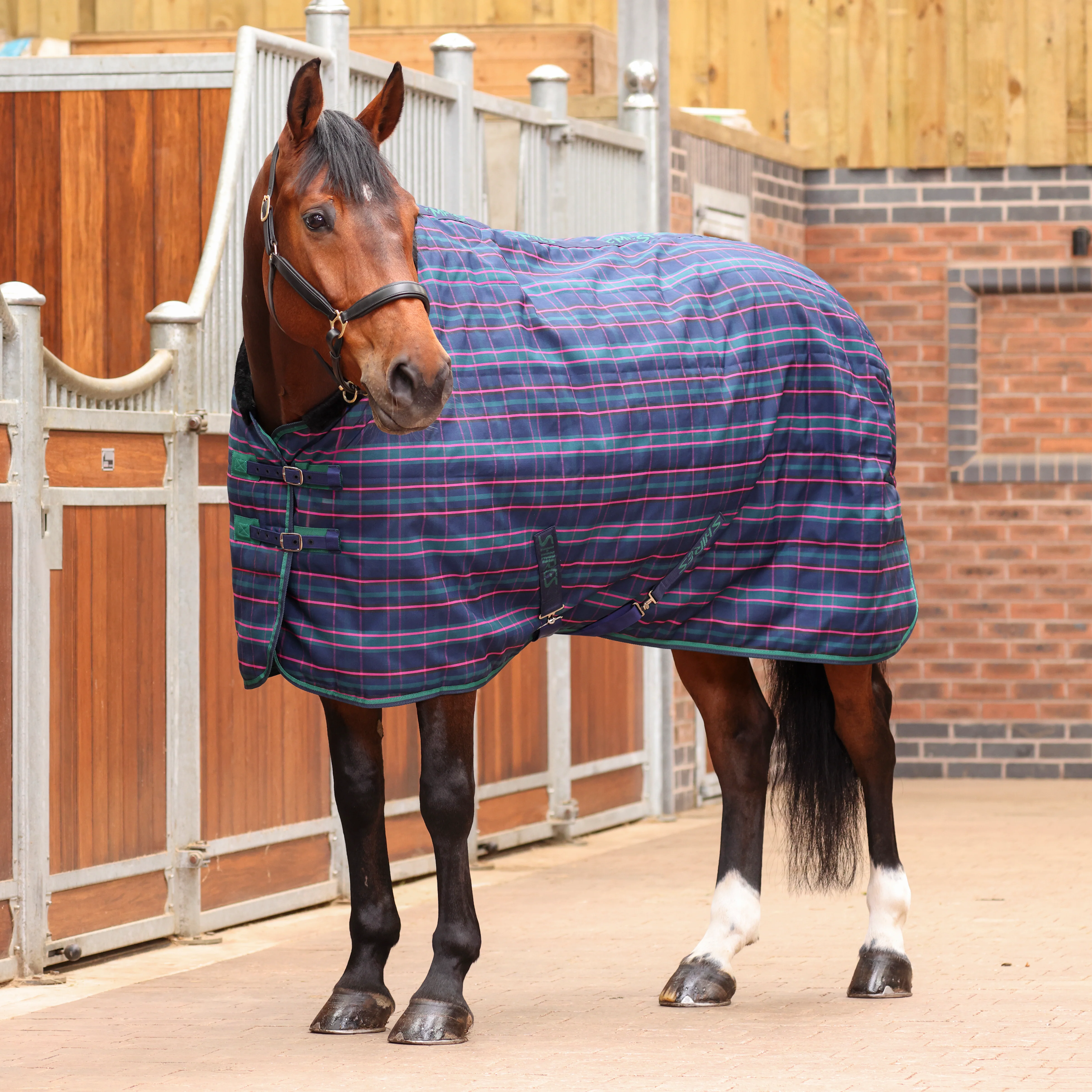Shires Tempest Plus 100 Stable Rug - Image 4