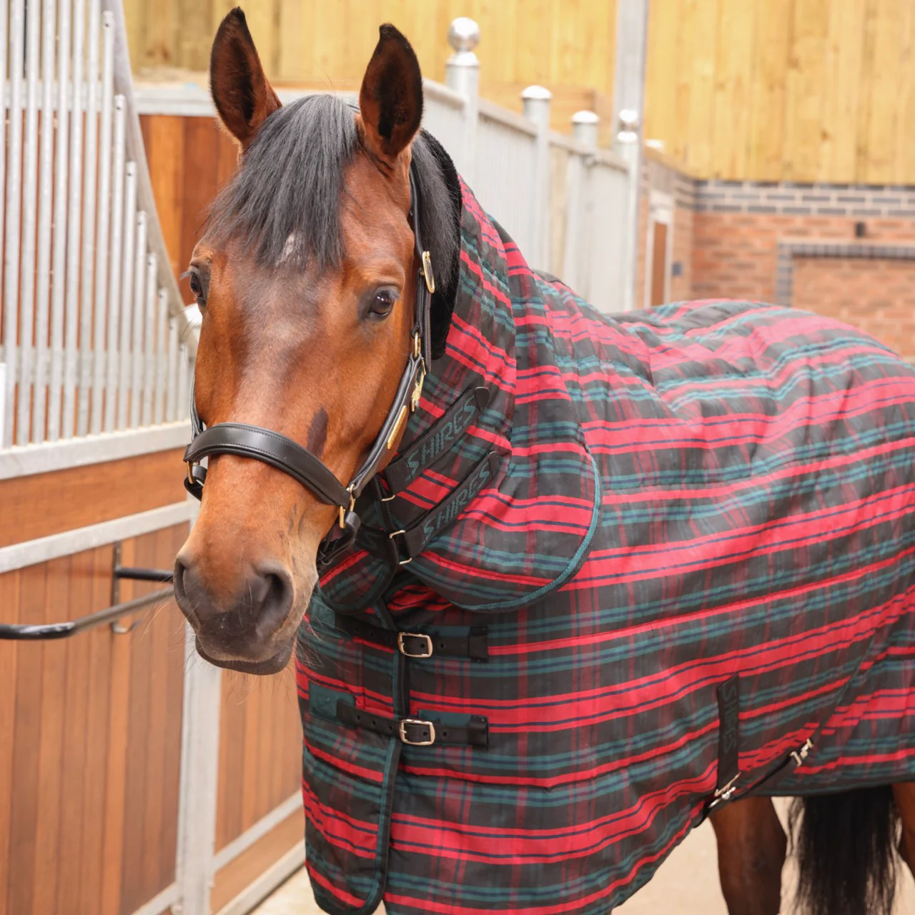 Tempest Plus 200 Stable Combo Rug - Image 3