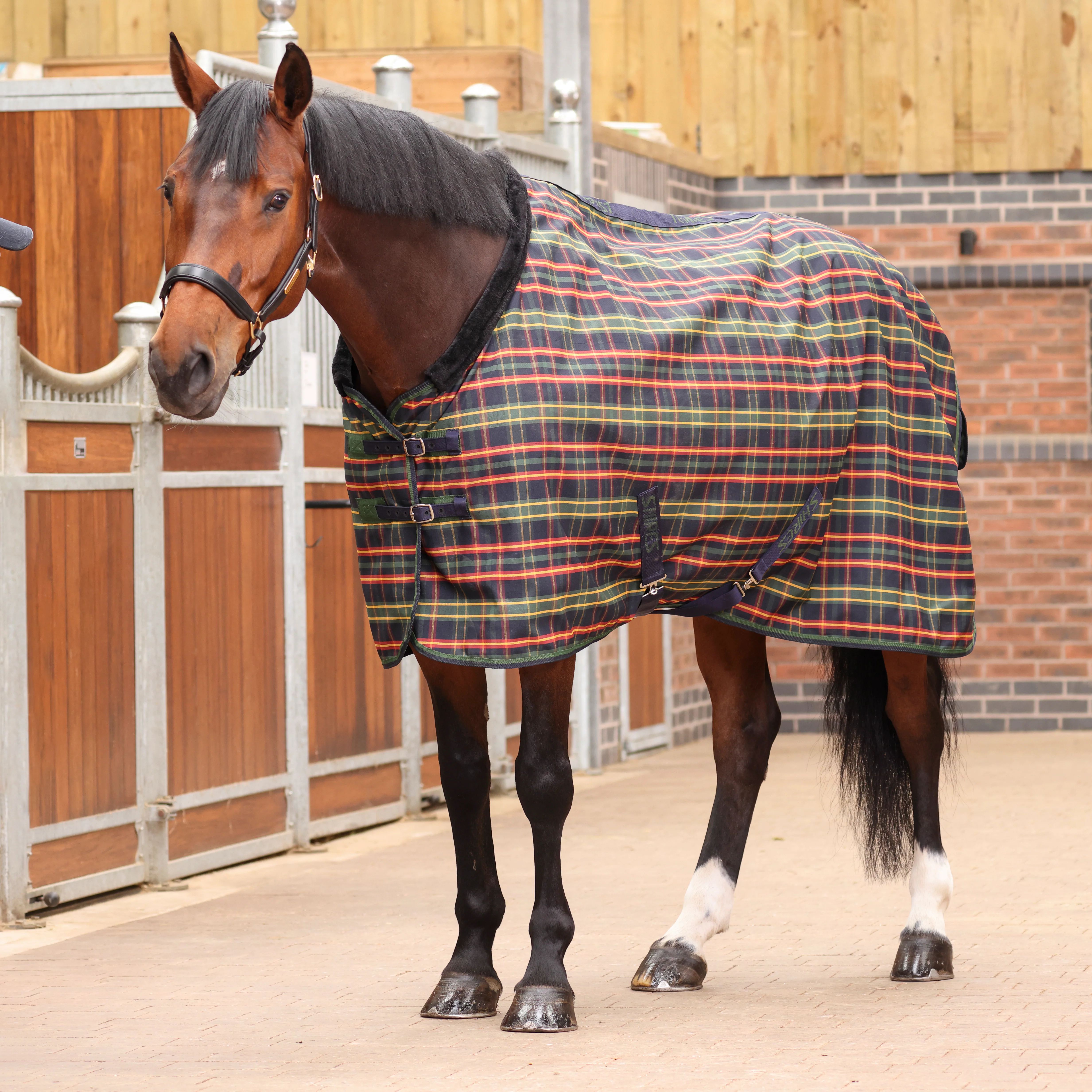 Shires Tempest Plus Lite Stable Rug - Image 2